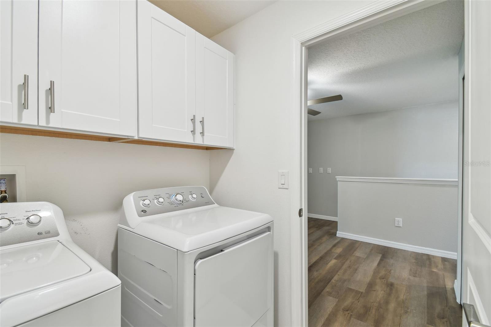 30814 Veridian Way Property Photo 46
