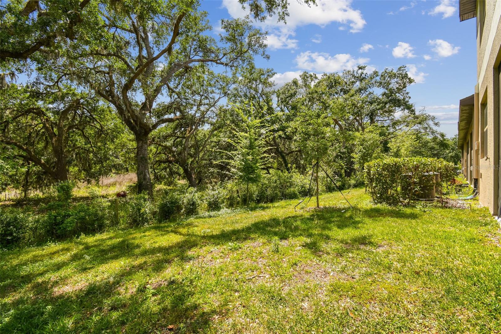 30814 Veridian Way Property Photo 75