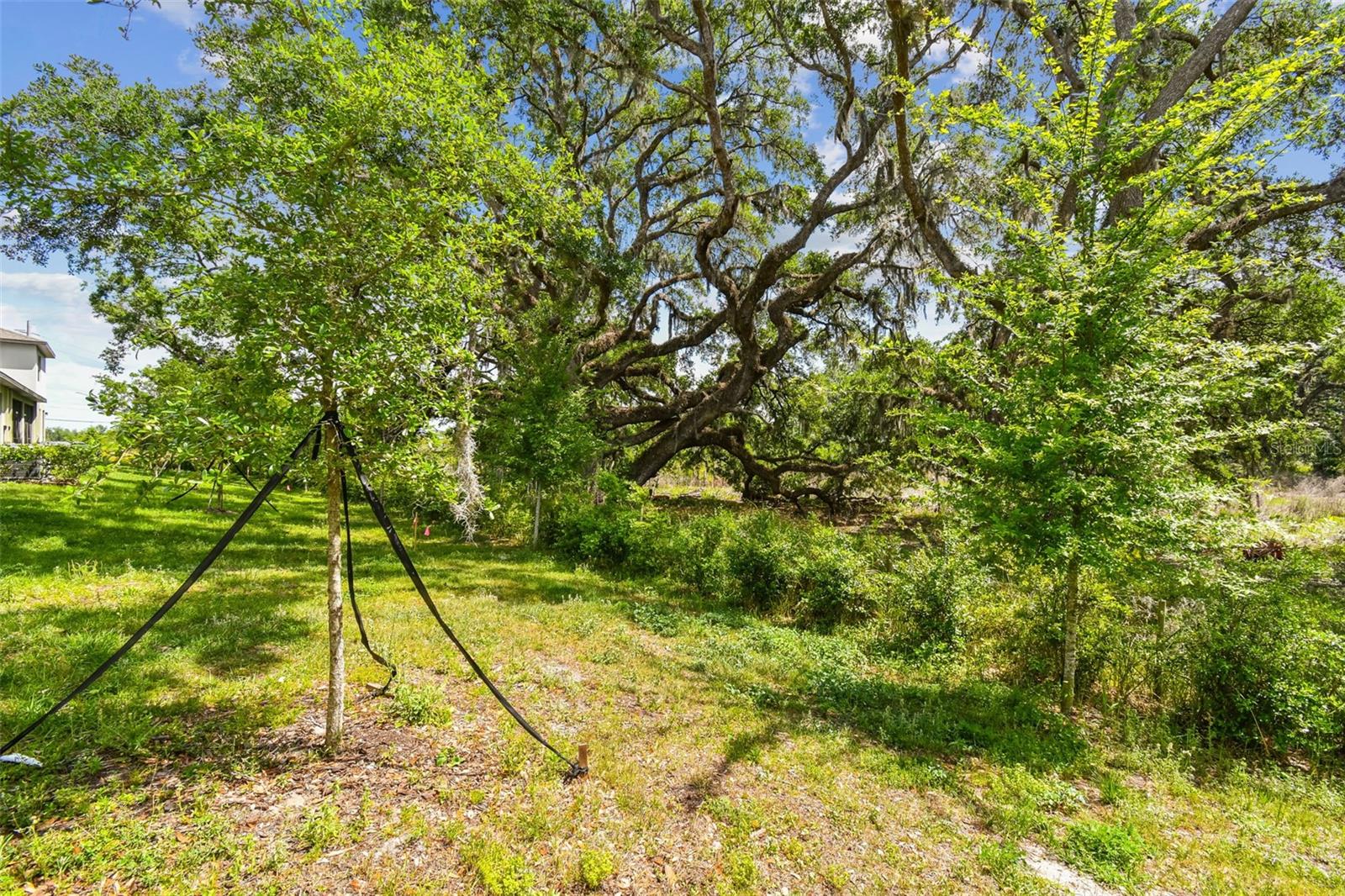 30814 Veridian Way Property Photo 78