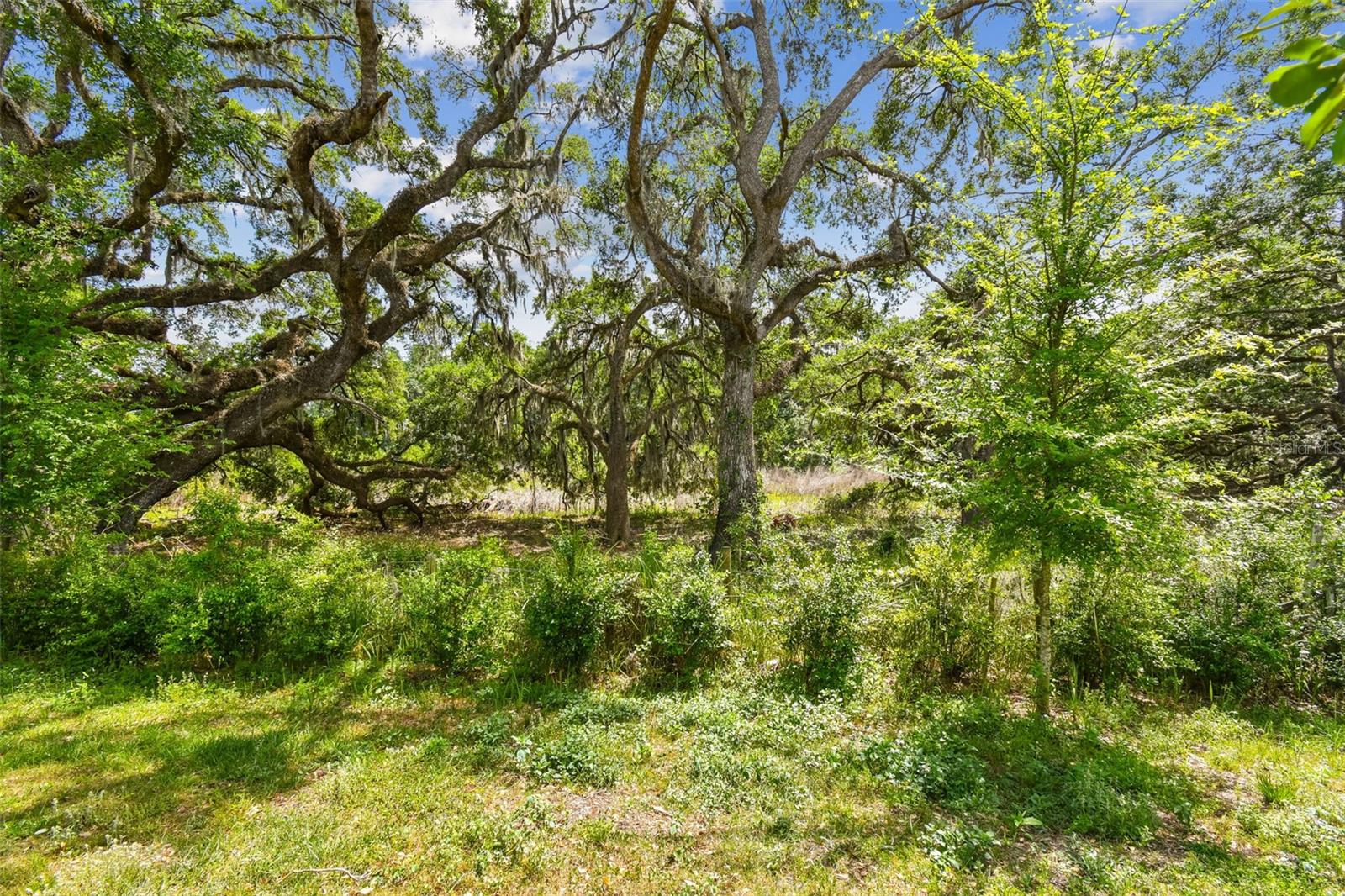 30814 Veridian Way Property Photo 79
