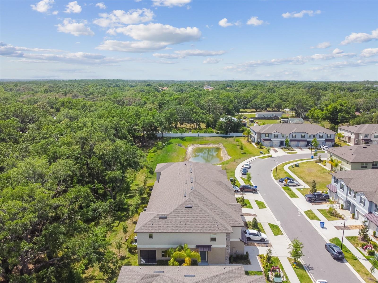 30814 Veridian Way Property Photo 89