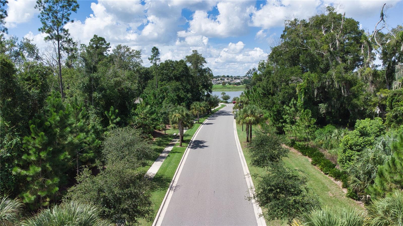 2949 Muller Oak Loop Property Photo 19