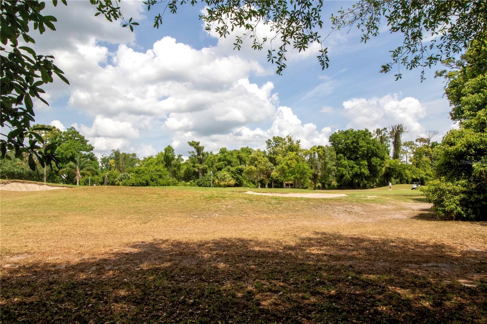 105 E Wyndham Ct Property Photo 64