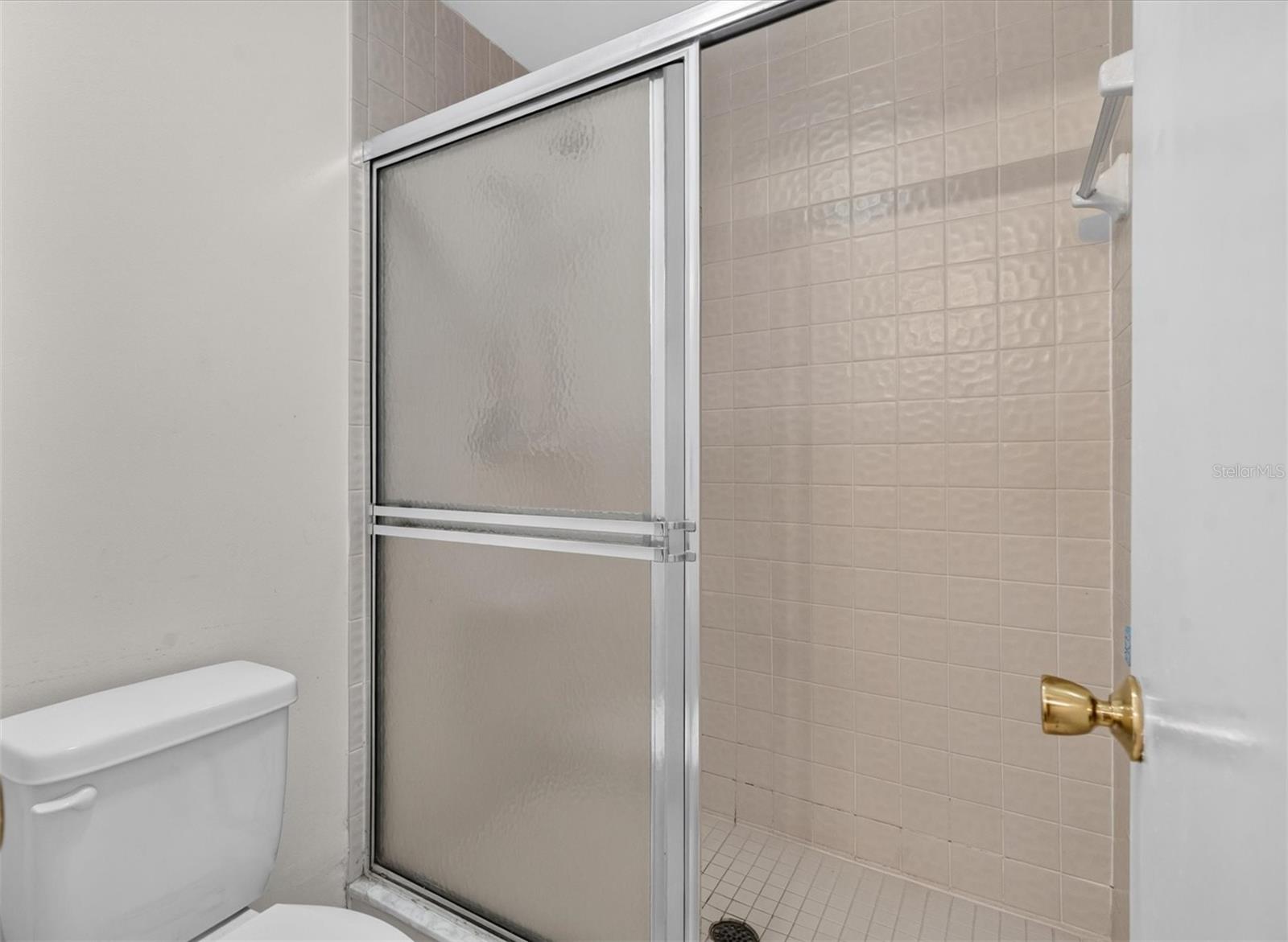 611 Chestnut Oak Cir #113 Property Photo 22