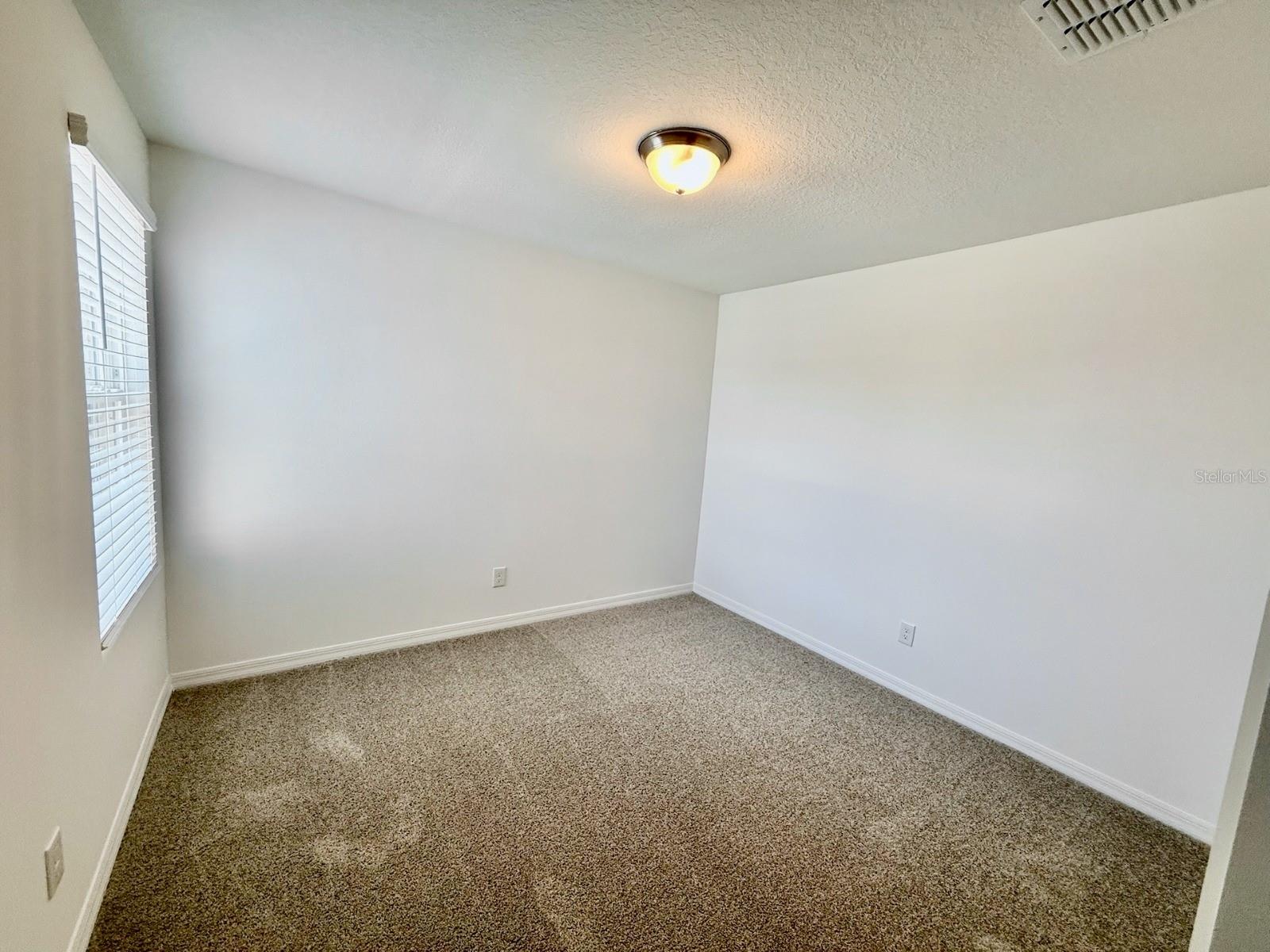 4497 Burrowing Owl Loop Property Photo 15