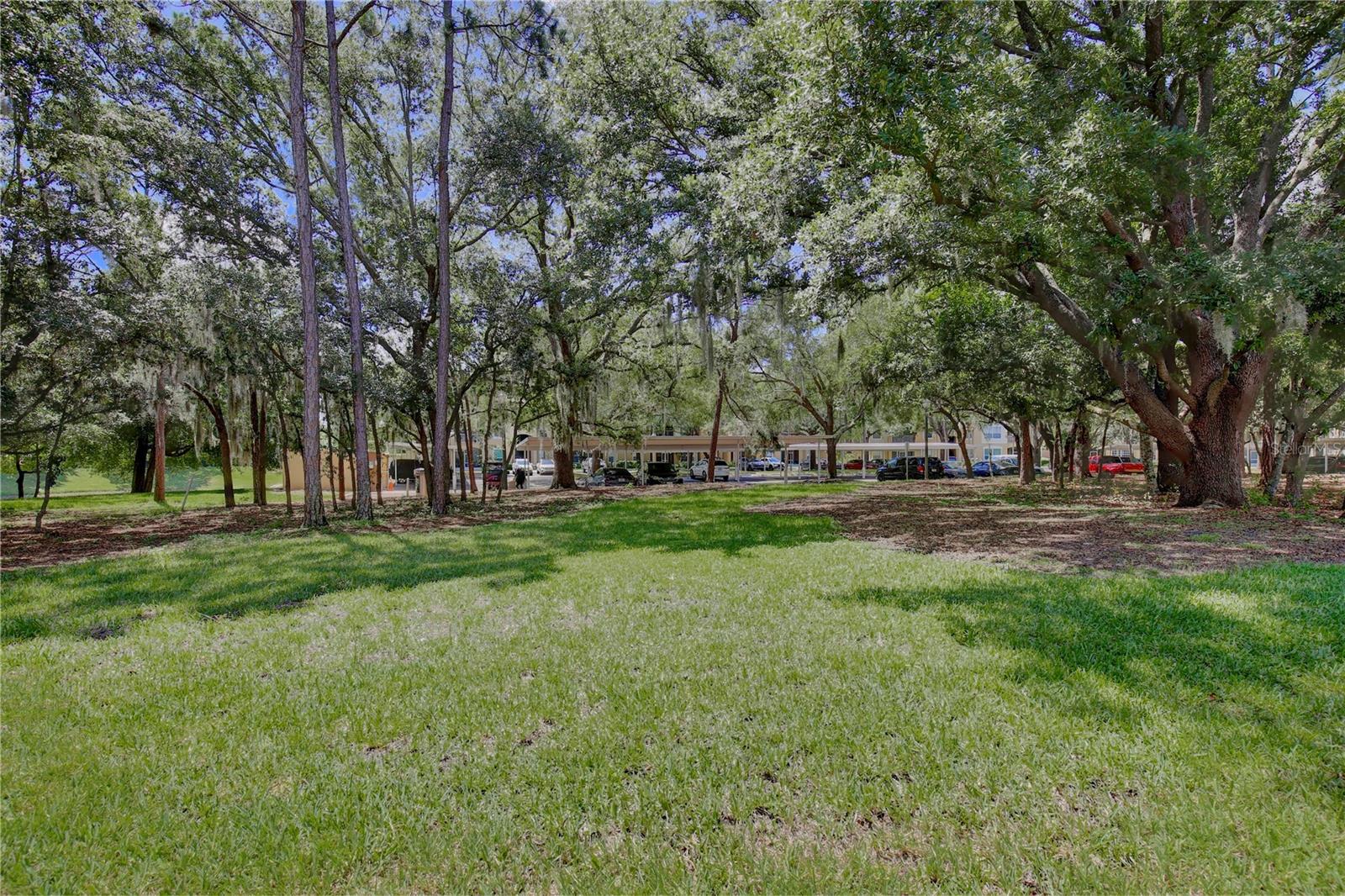 6080 Twain St #104 Property Photo 29