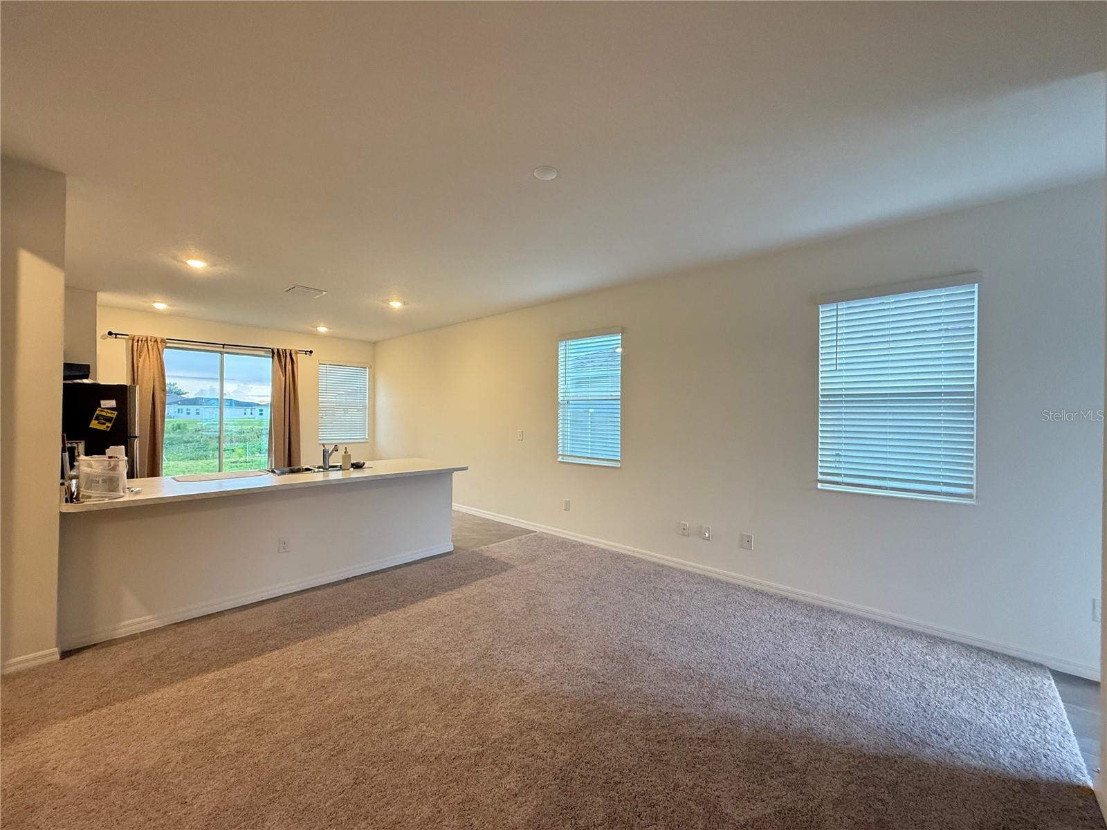 10322 Star Flower Ln Property Photo 5