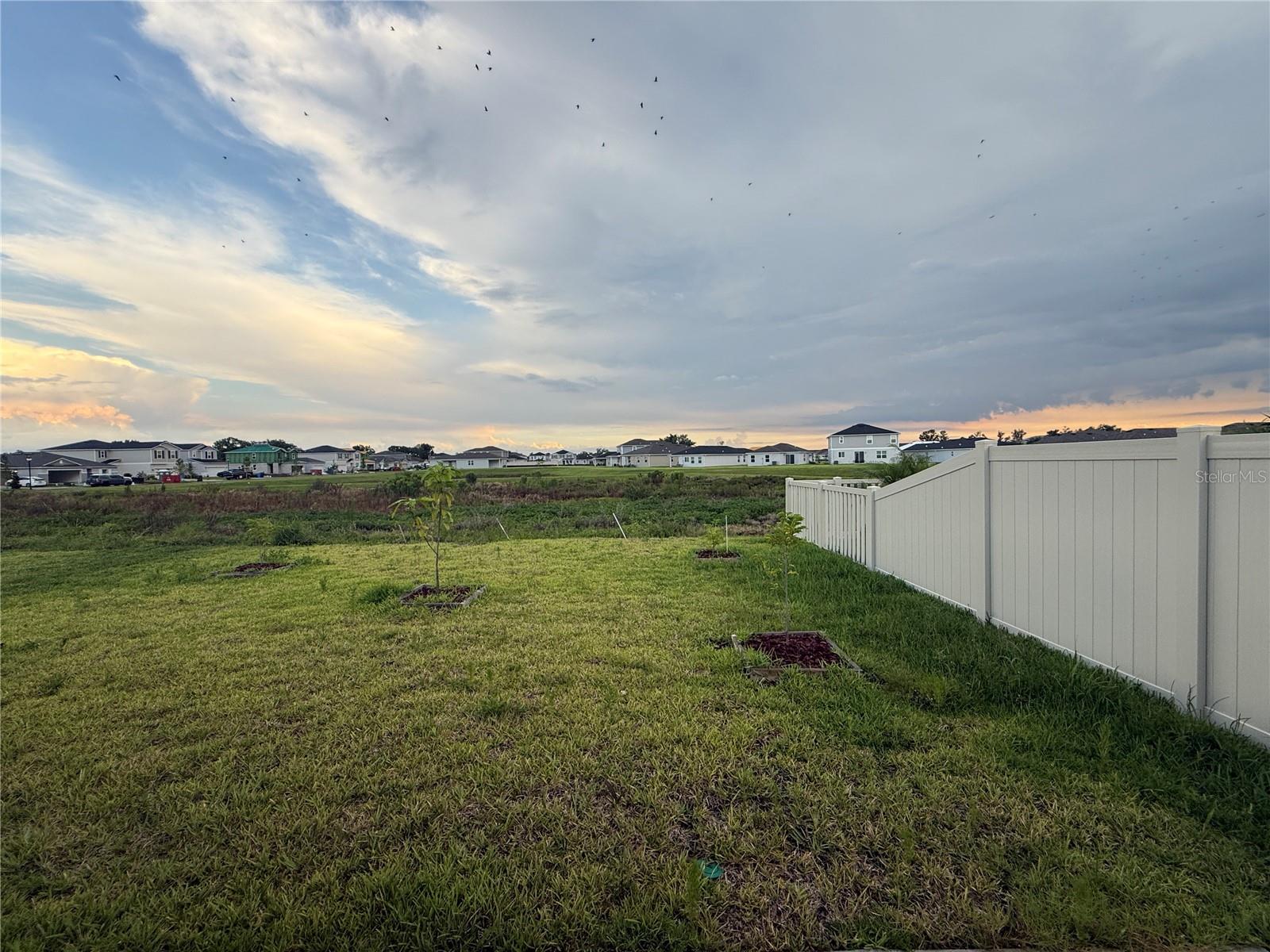 10322 Star Flower Ln Property Photo 15