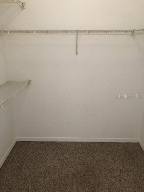 1225 Lake Shadow Cir #14106 Property Photo 9