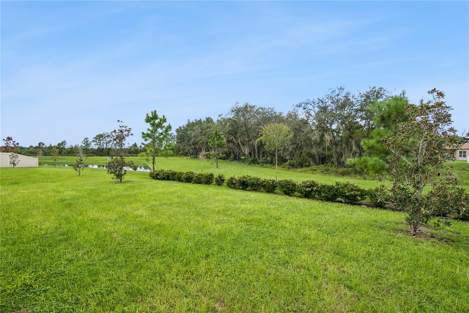 3019 Sanctuary Dr Property Photo 33