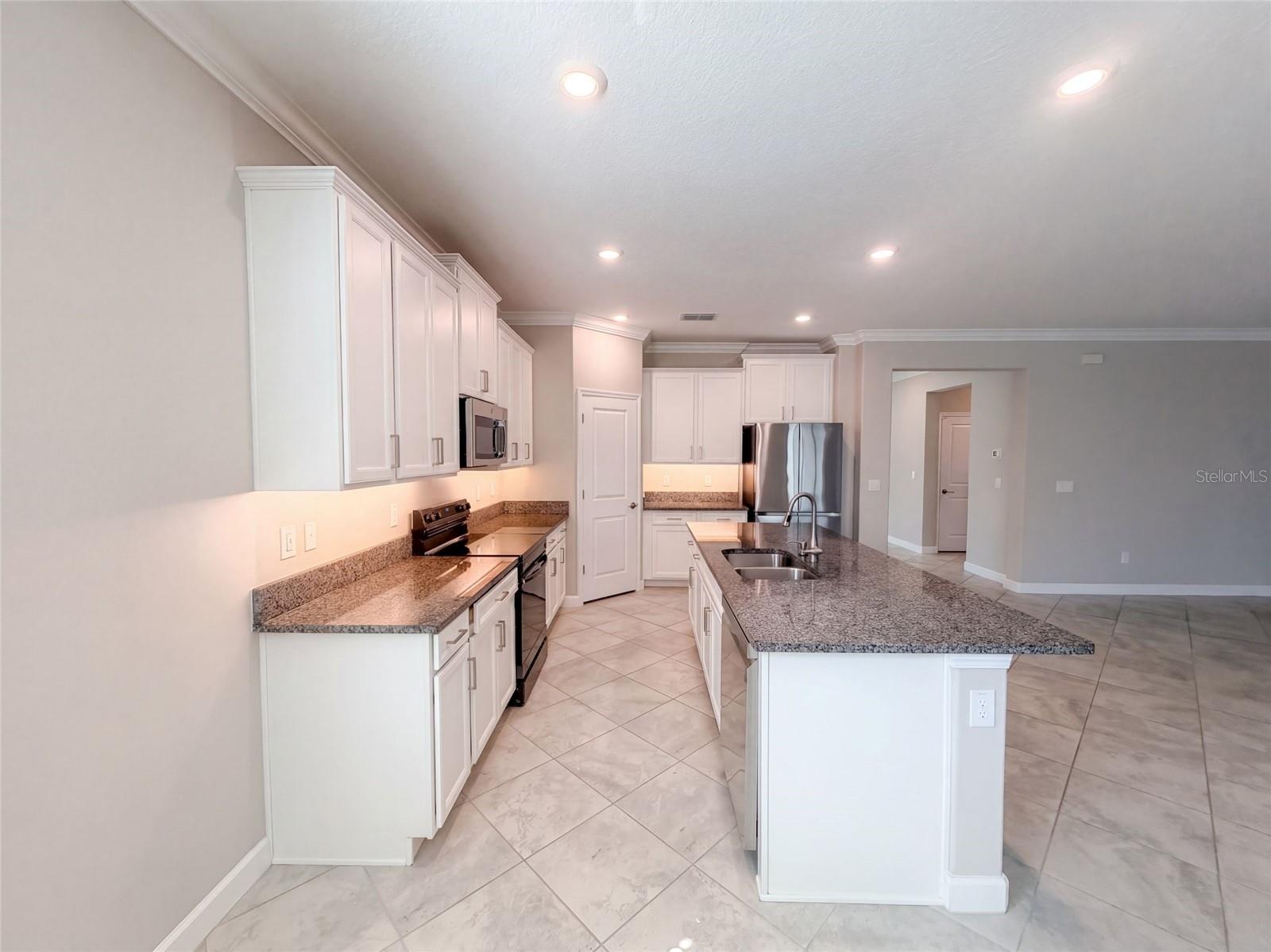 31351 Cannon Rush Dr Property Photo 6