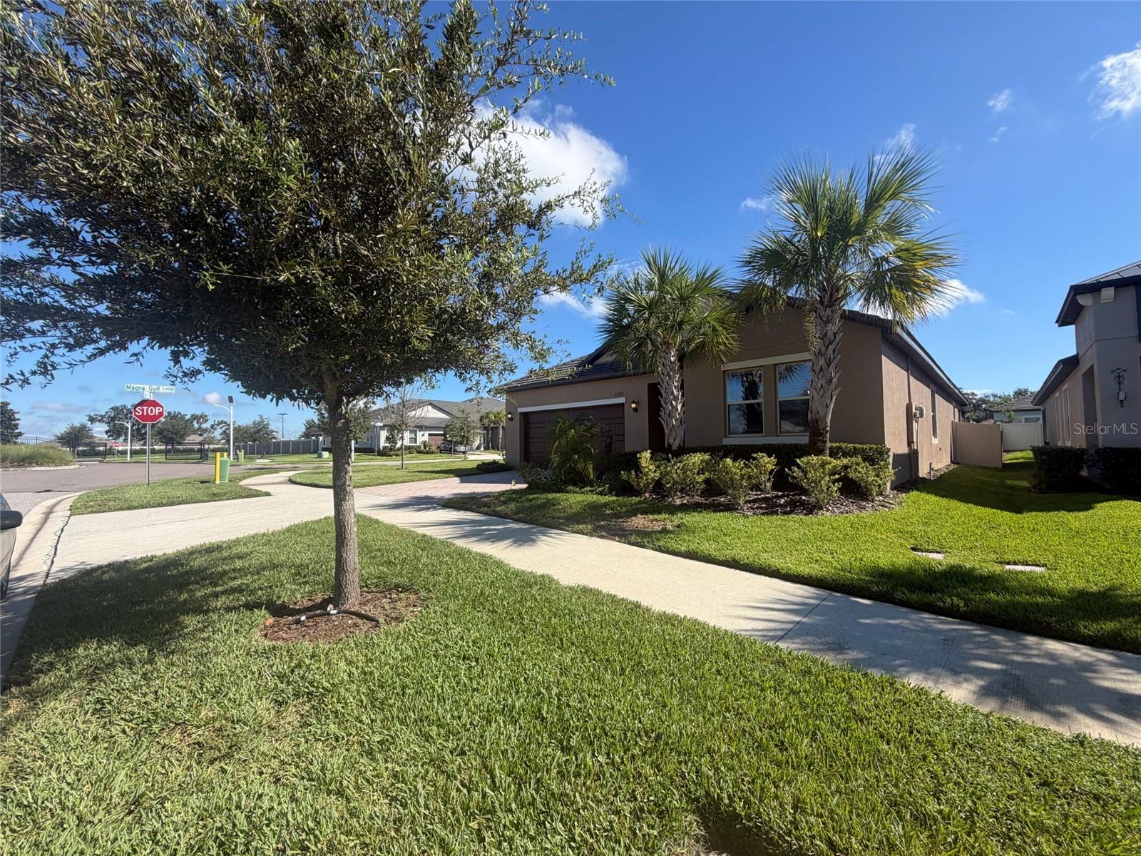 31351 Cannon Rush Dr Property Photo 28
