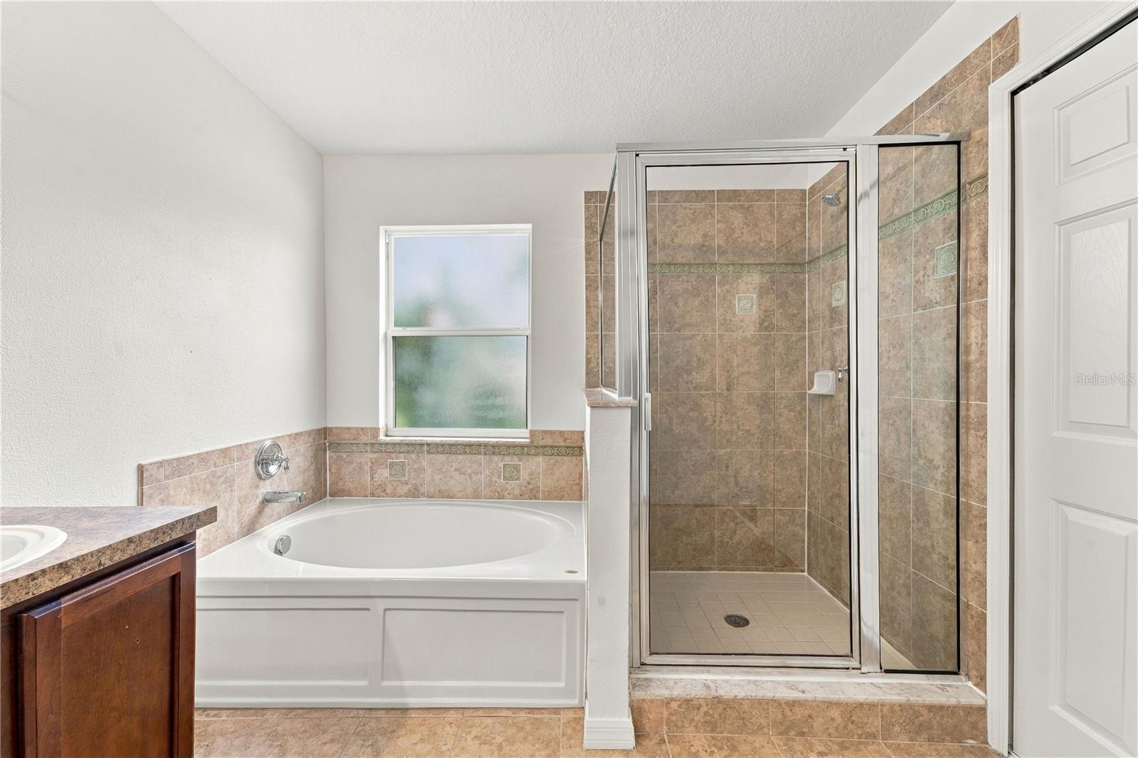 3247 Chessington Dr Property Photo 19