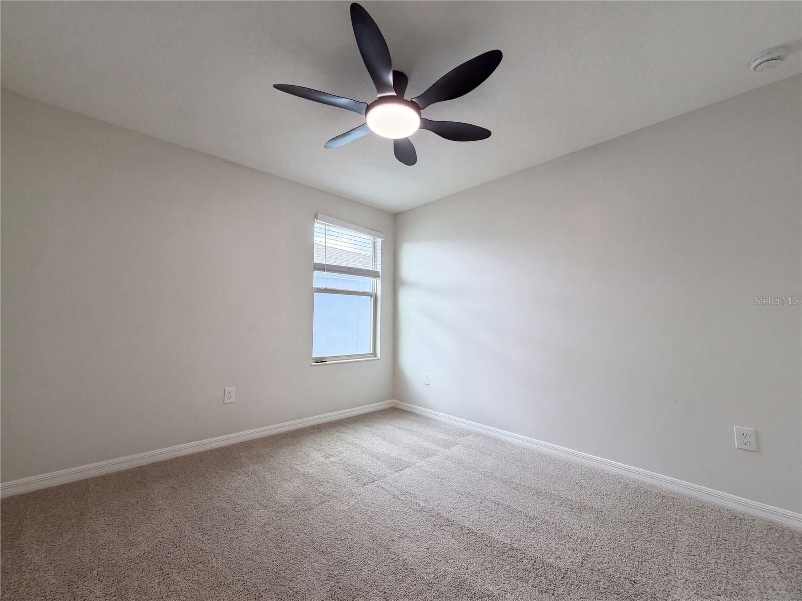 10448 Carloway Hills Dr Property Photo 23