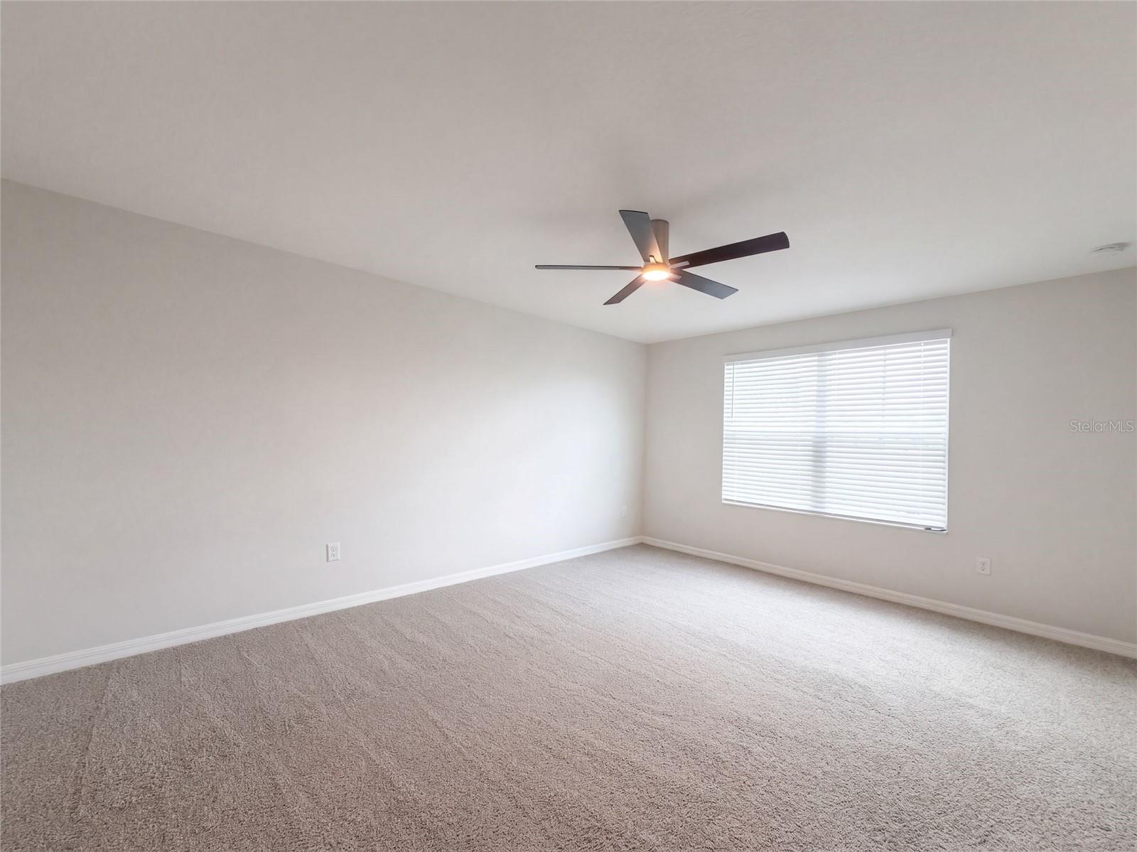 10448 Carloway Hills Dr Property Photo 33
