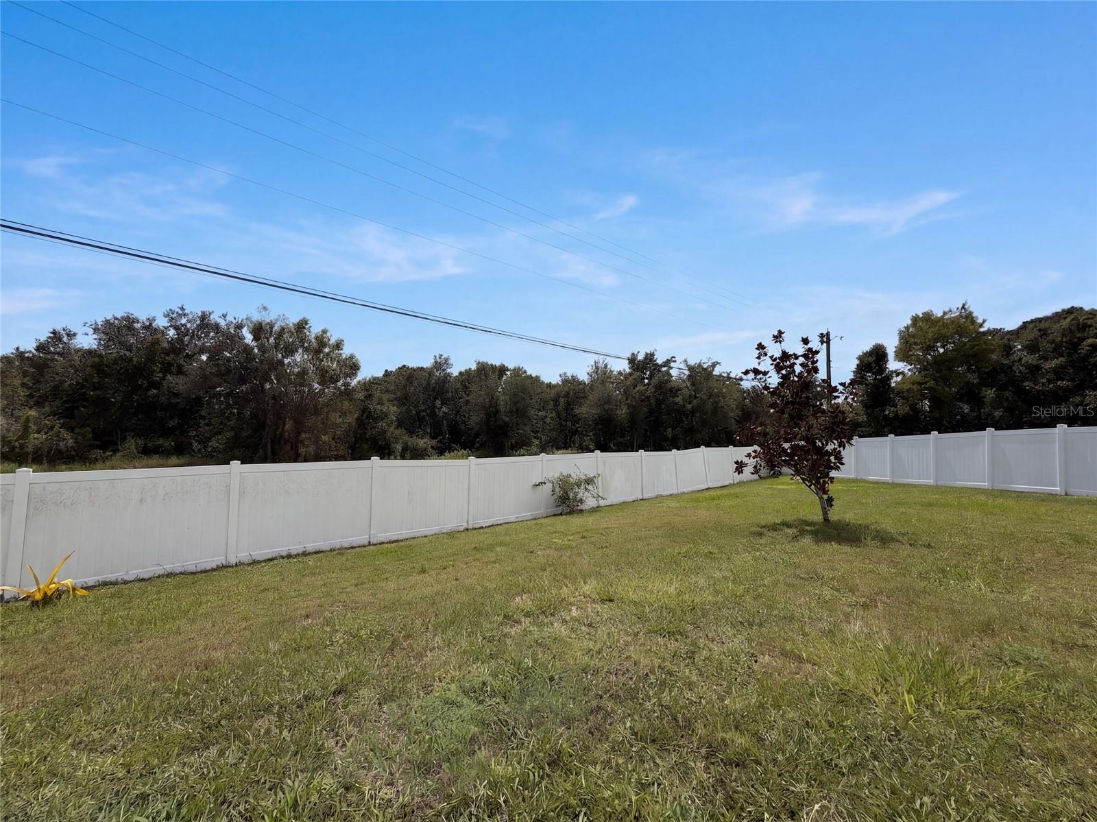 10448 Carloway Hills Dr Property Photo 40