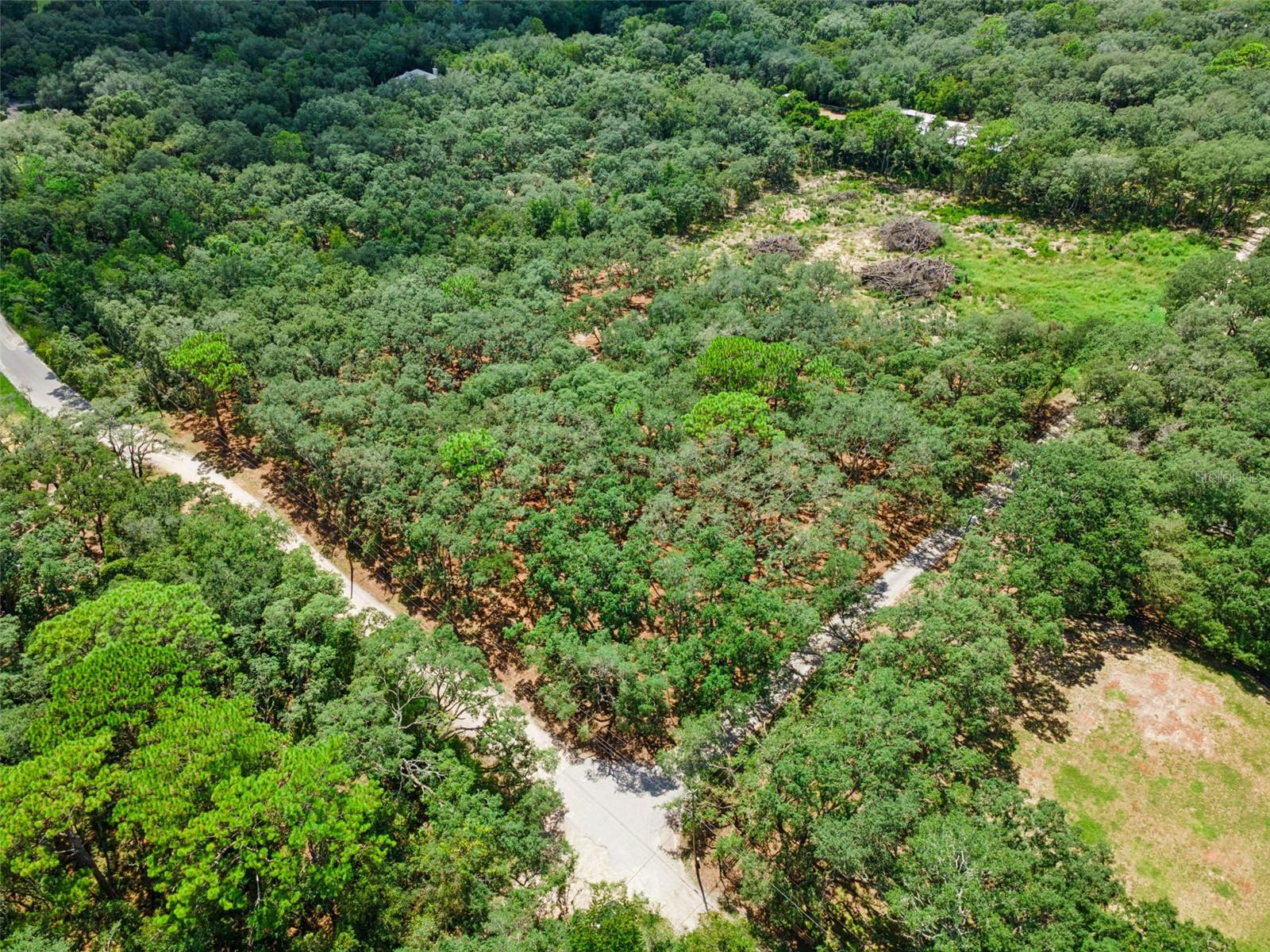 17206 Red Bird Rd Property Photo 2