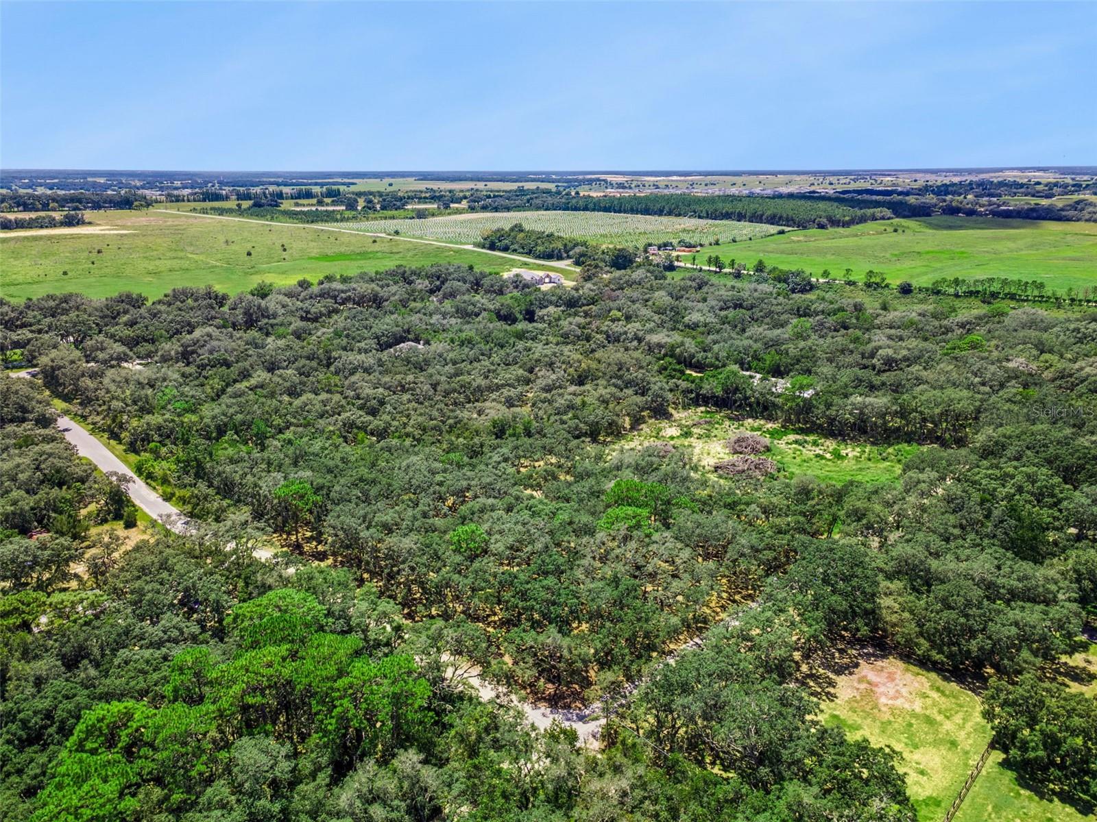 17206 Red Bird Rd Property Photo 3