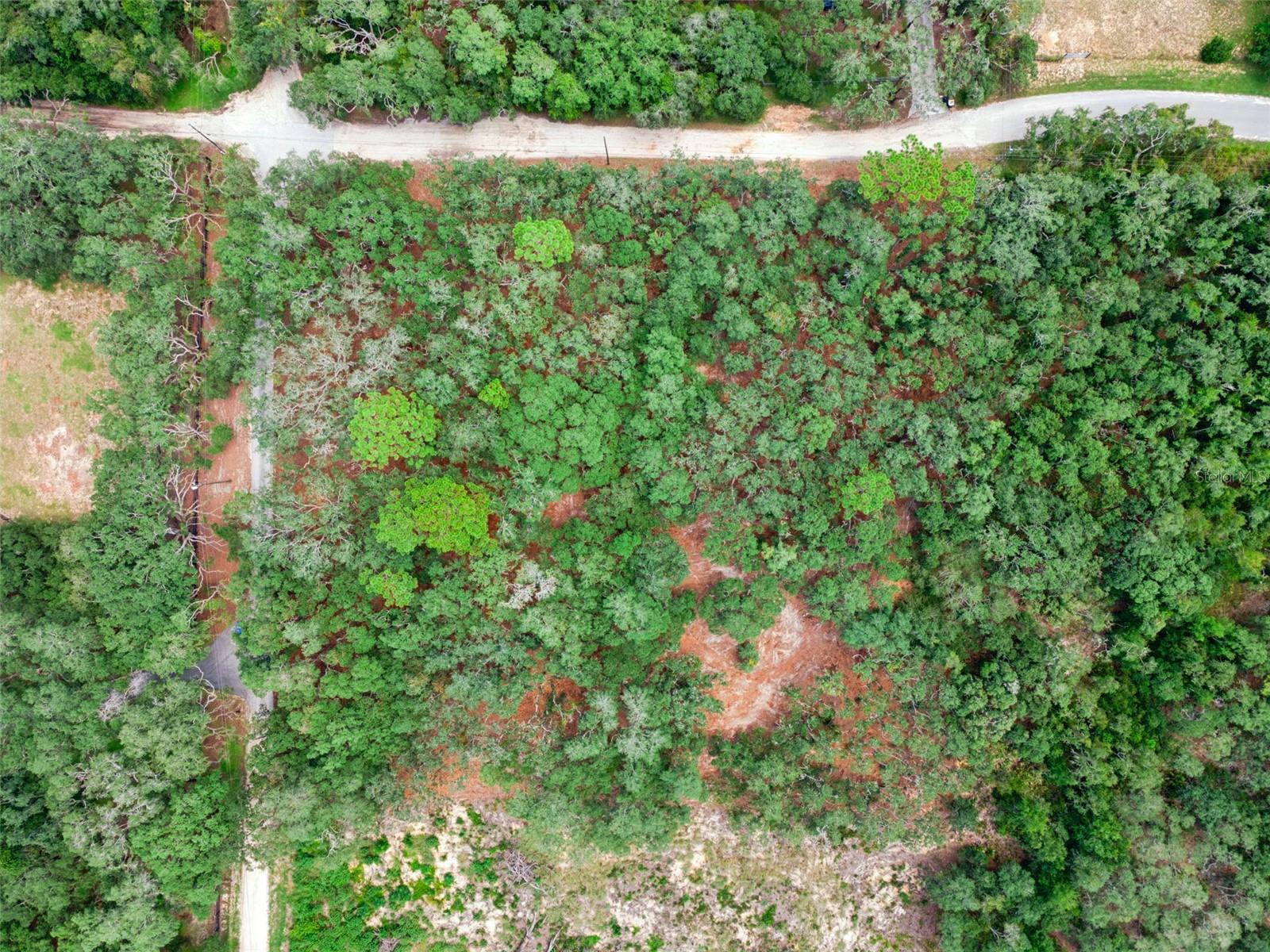 17206 Red Bird Rd Property Photo 5