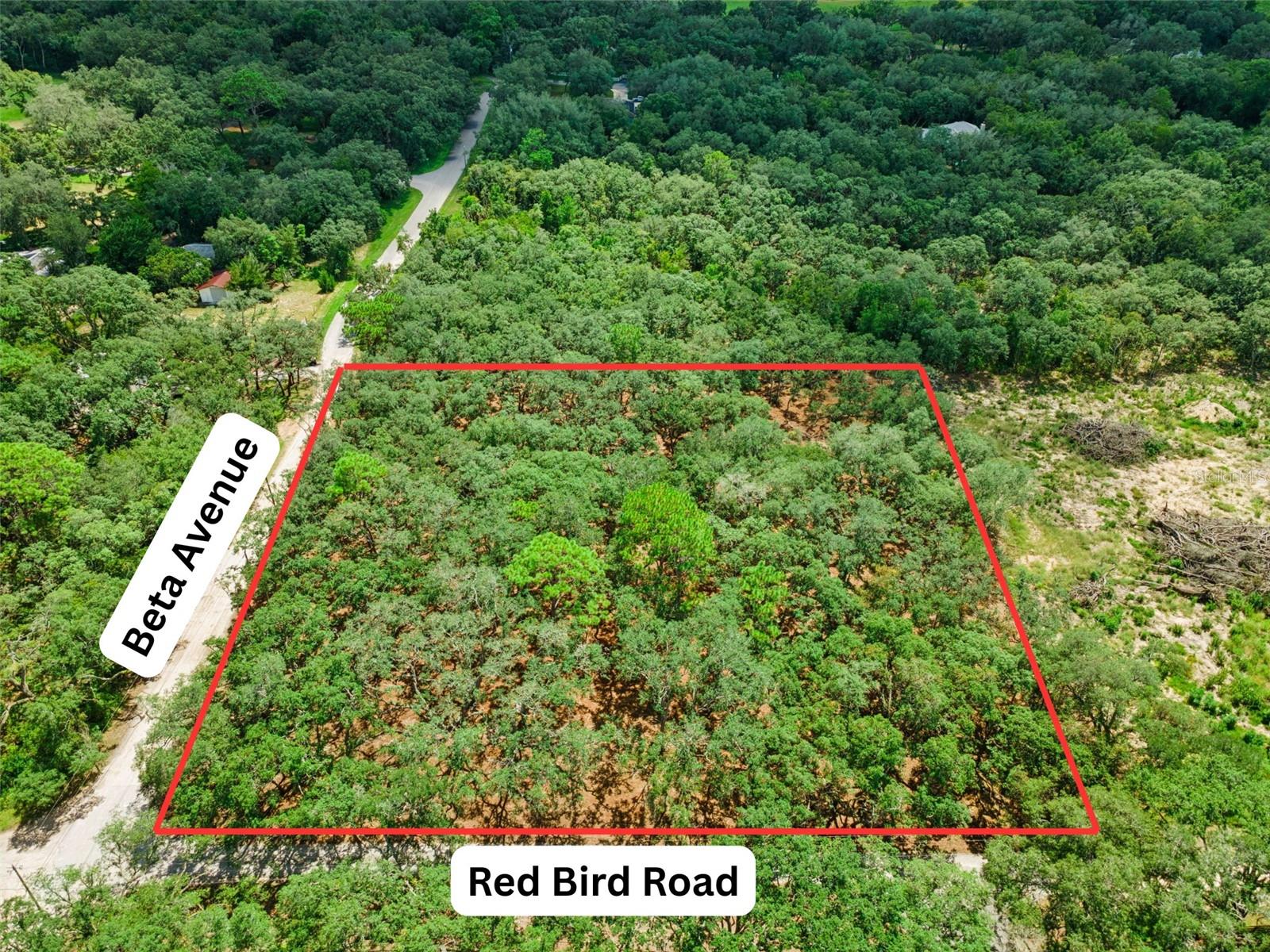 17206 Red Bird Rd Property Photo 6