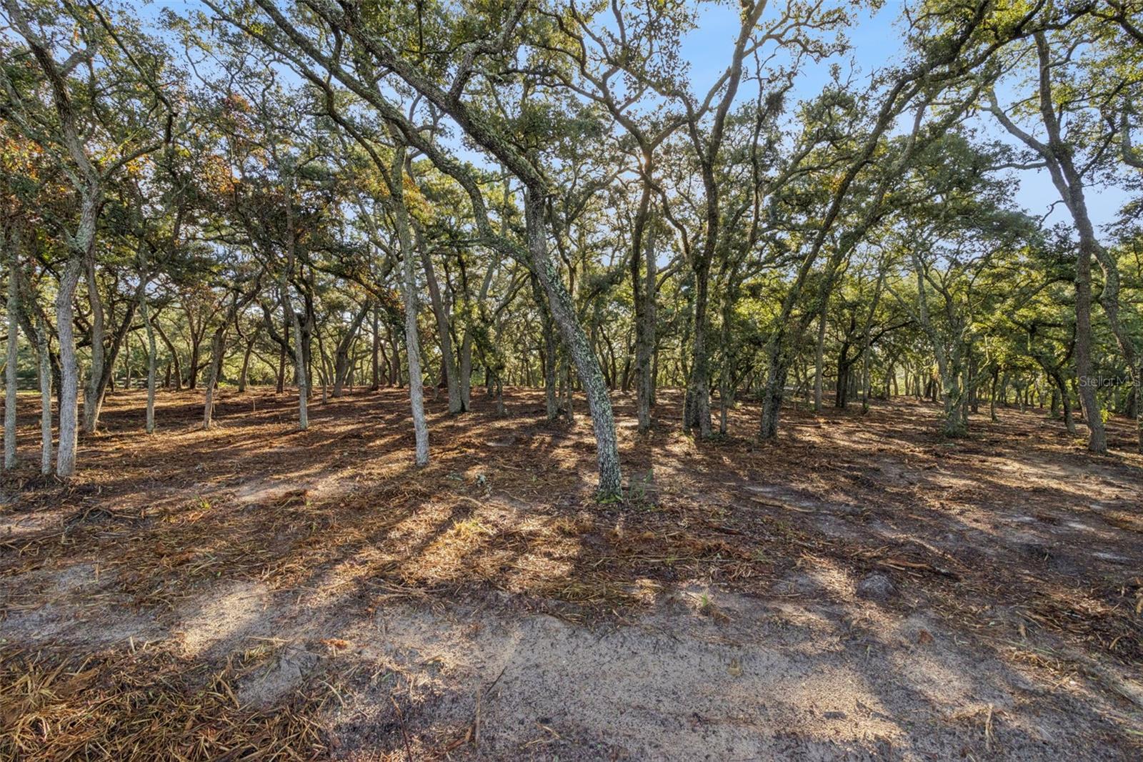 17206 Red Bird Rd Property Photo 9