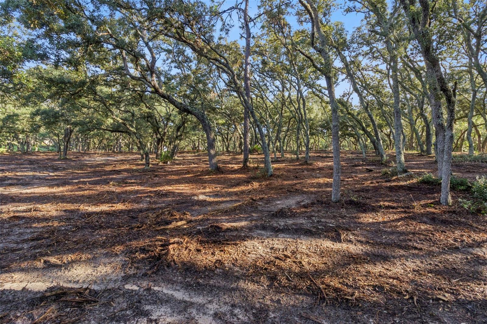 17206 Red Bird Rd Property Photo 10