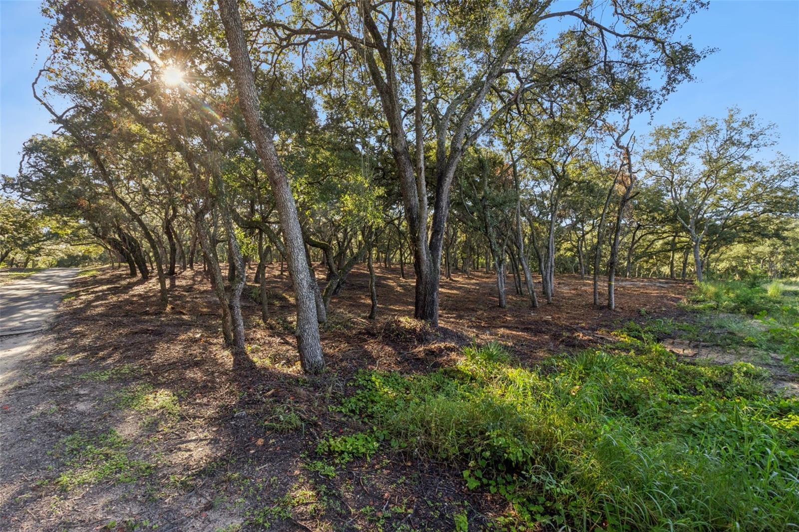 17206 Red Bird Rd Property Photo 11