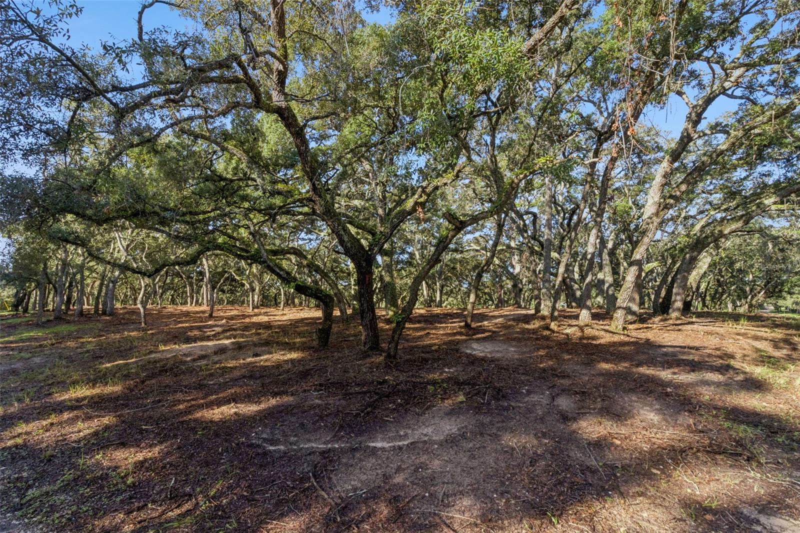 17206 Red Bird Rd Property Photo 12