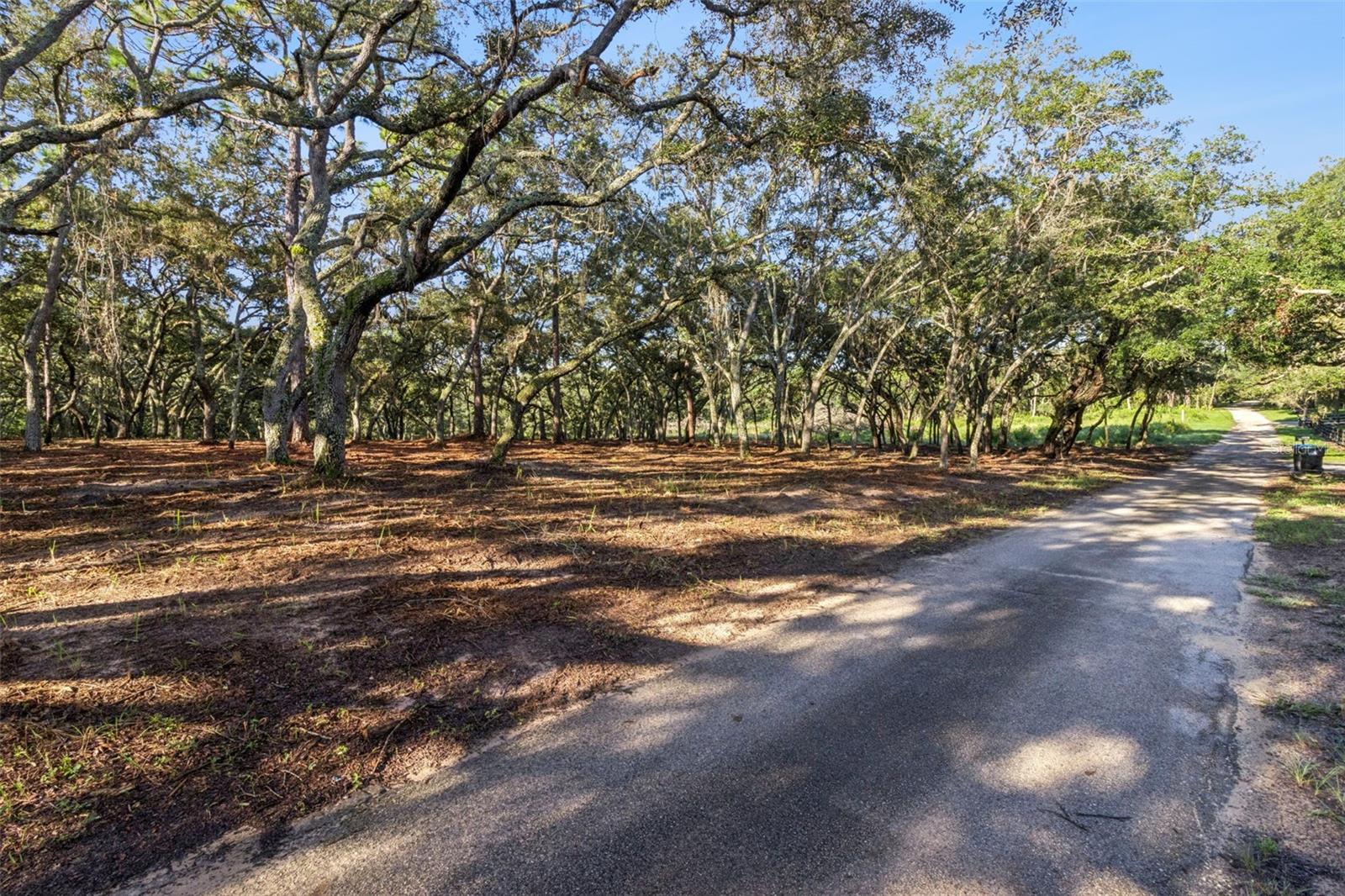 17206 Red Bird Rd Property Photo 13