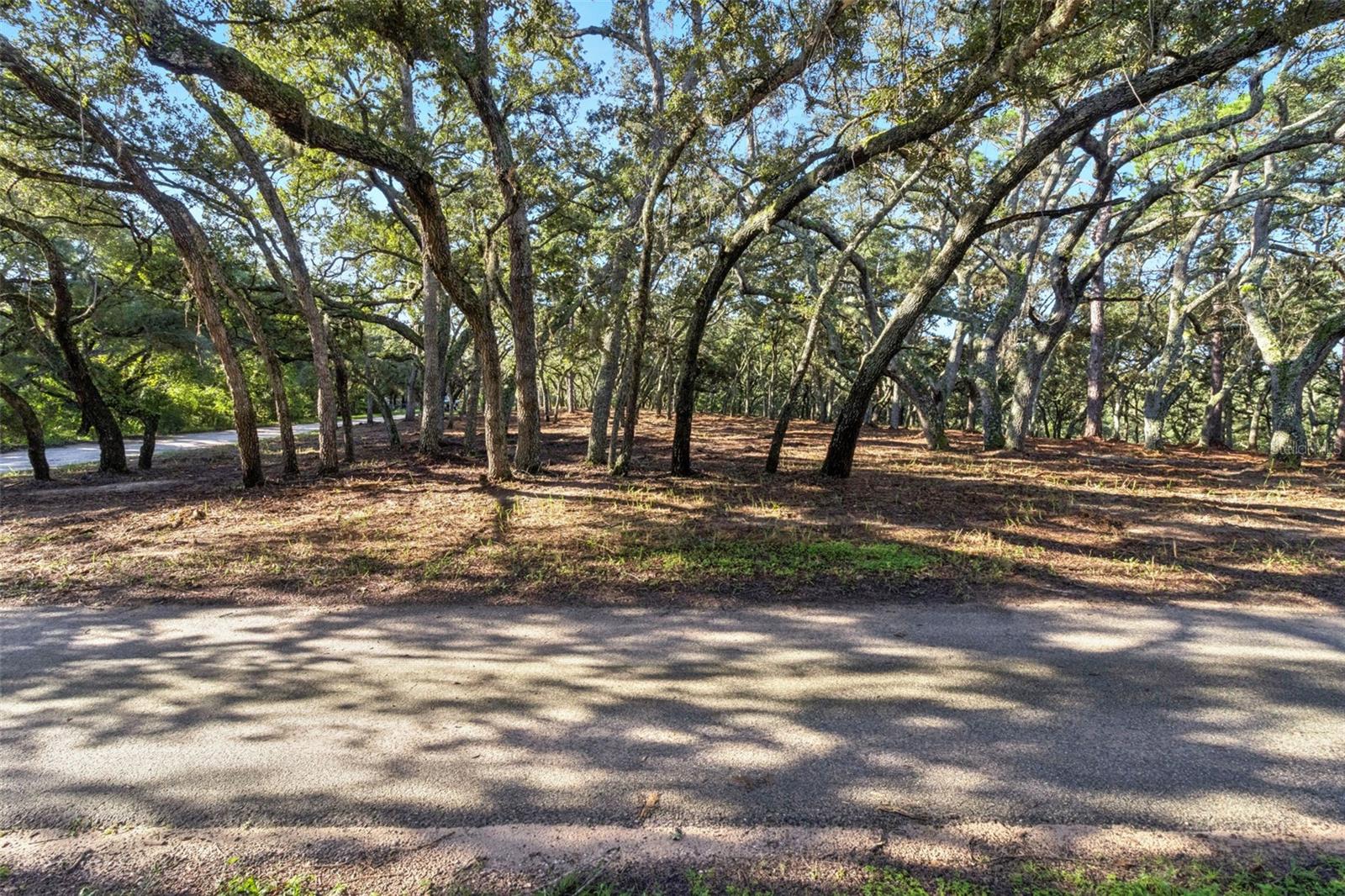 17206 Red Bird Rd Property Photo 14