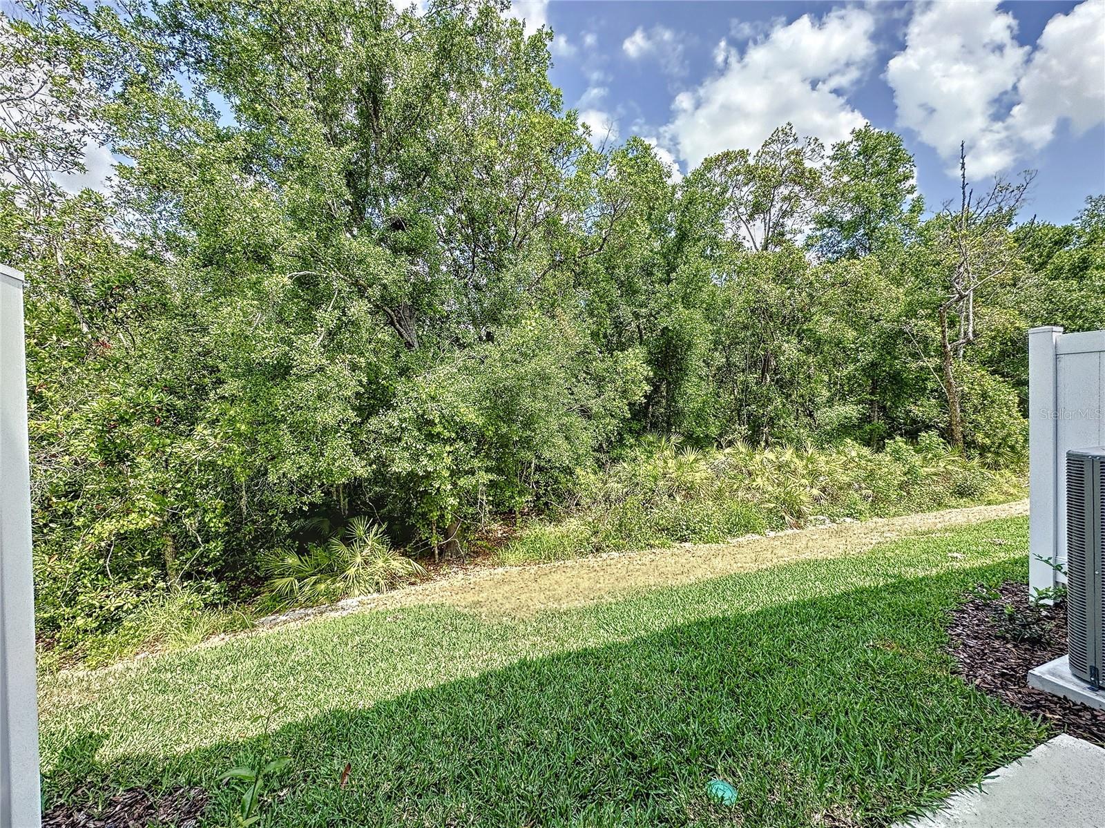 4621 Sparkling Shell Ave Property Photo 14