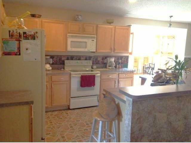 521 Cypress Tree Ct Property Photo 12