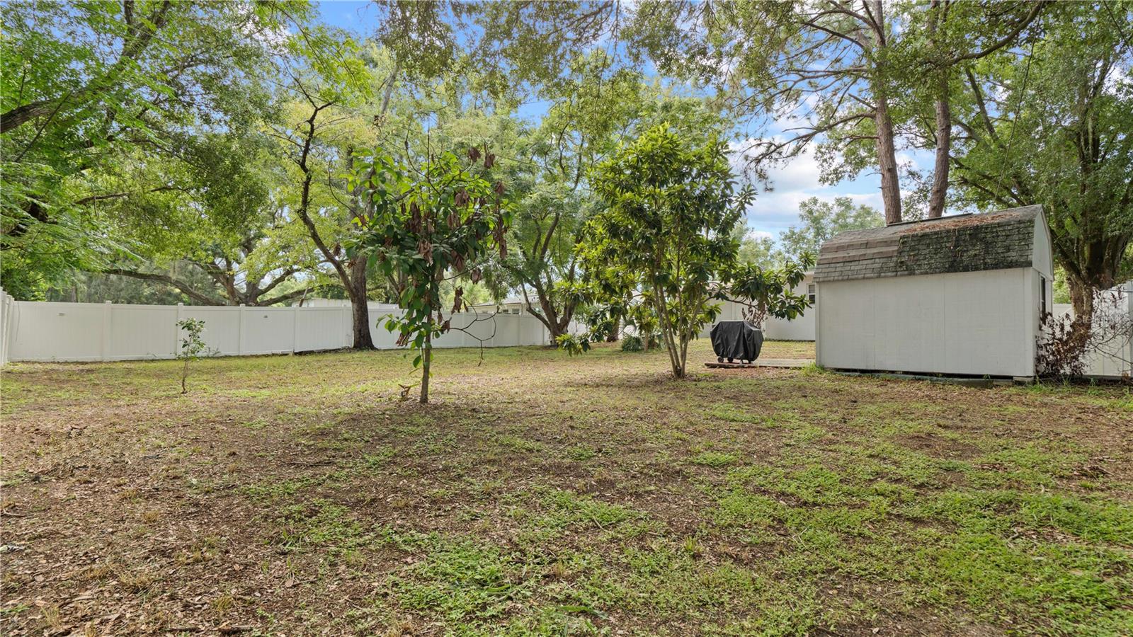 1124 W Desoto St Property Photo 34
