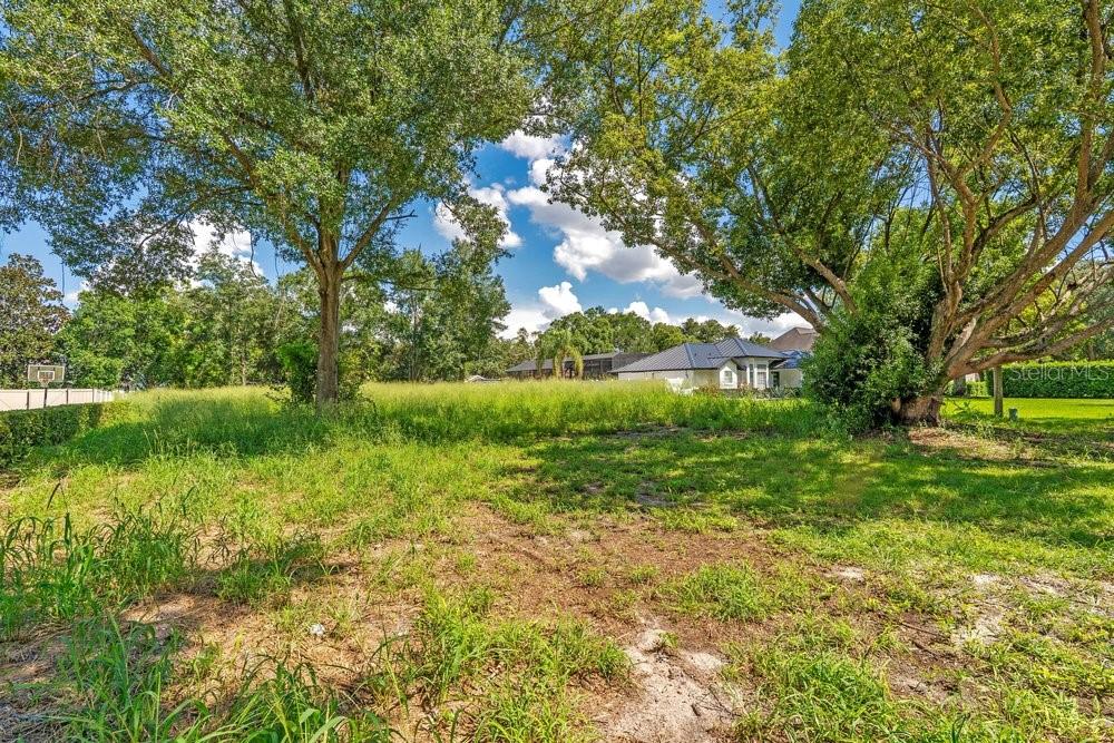 Dingens Ave Property Photo 3