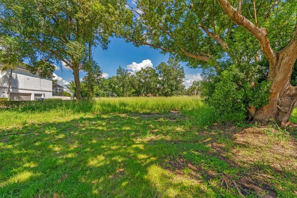 Dingens Ave Property Photo 4