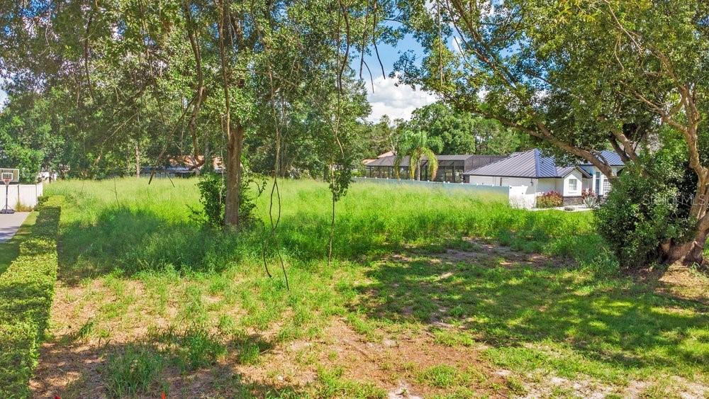 Dingens Ave Property Photo 6