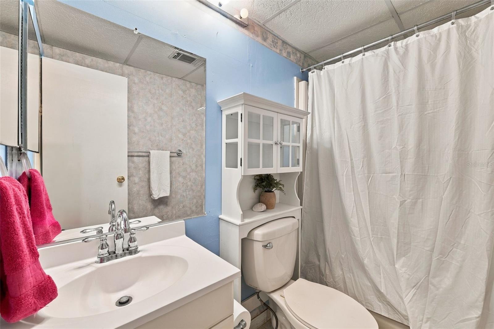 253 Menlo Park Ave Property Photo 12