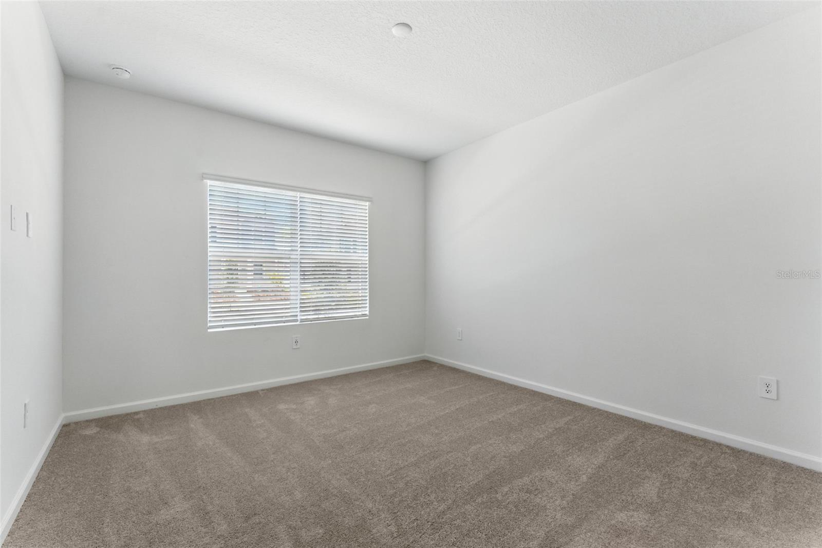 2301 White Buffalo St Property Photo 4