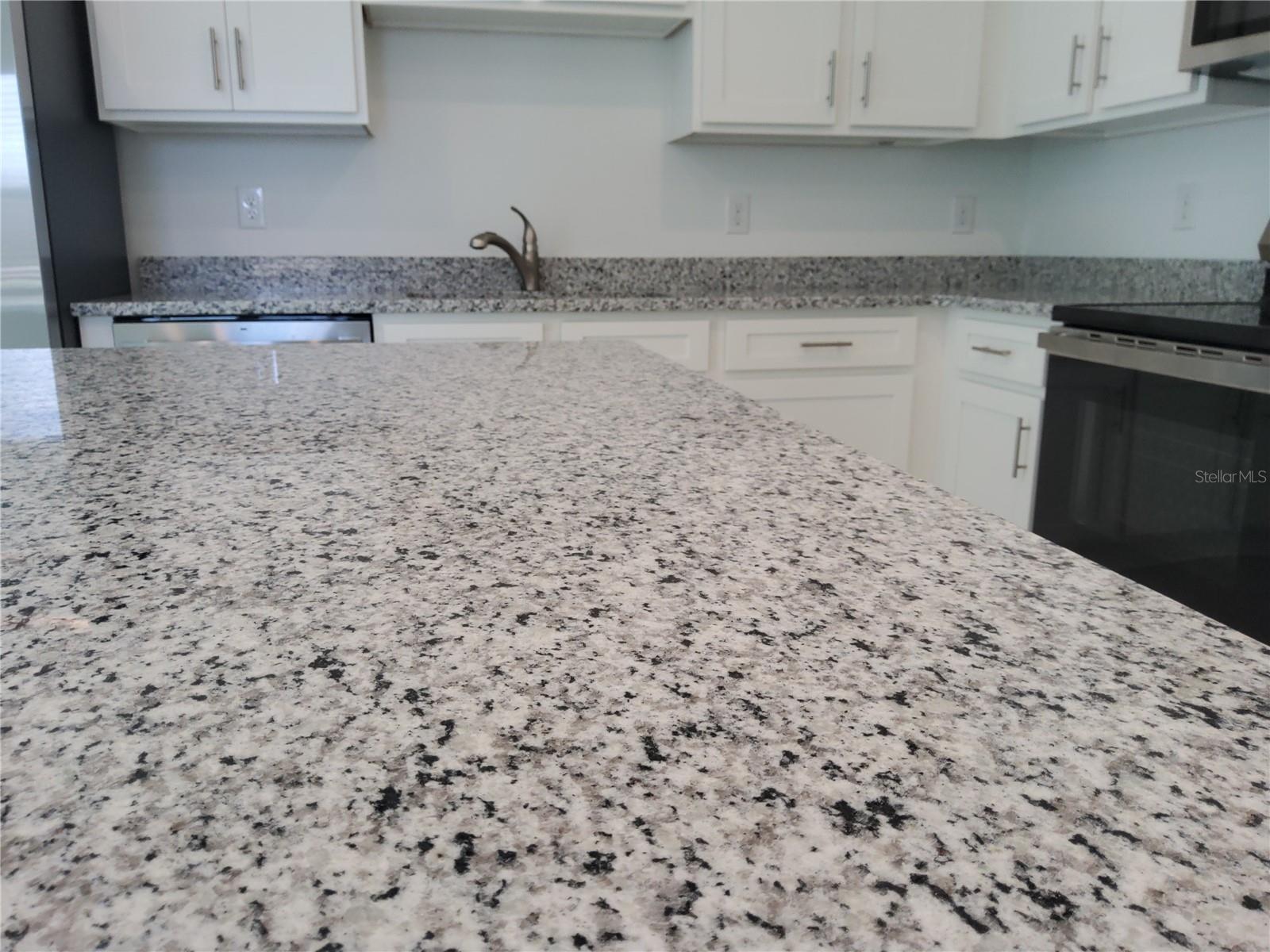 1816 Fan Palm Dr Property Photo 4