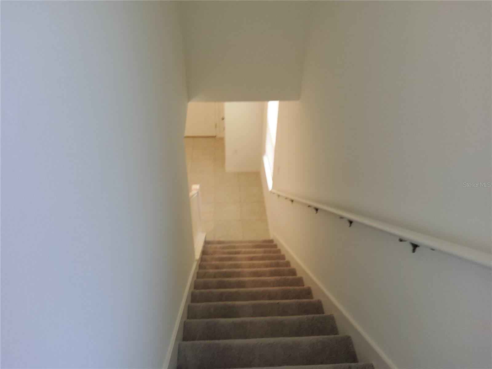 1816 Fan Palm Dr Property Photo 5