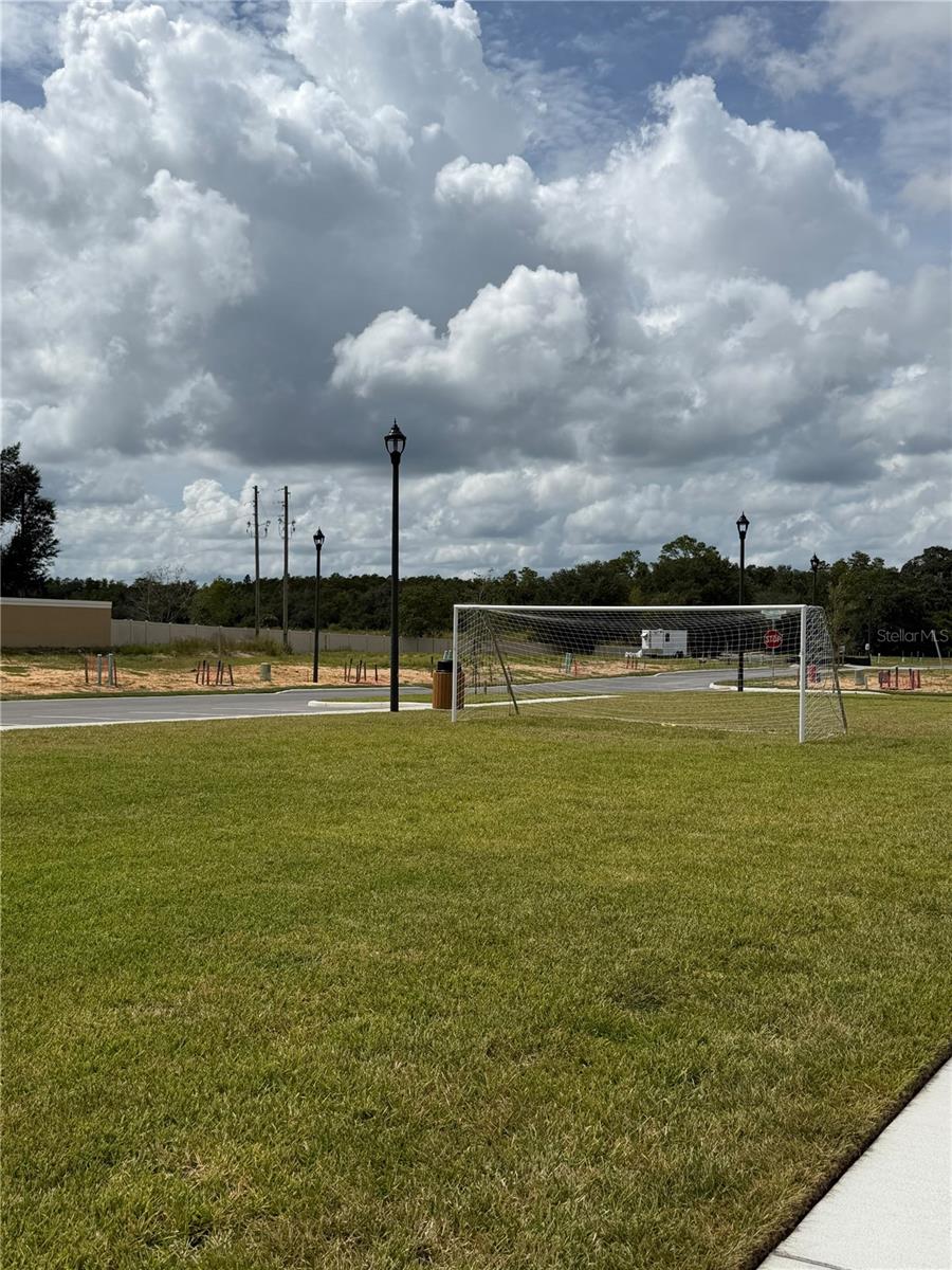 1816 Fan Palm Dr Property Photo 16