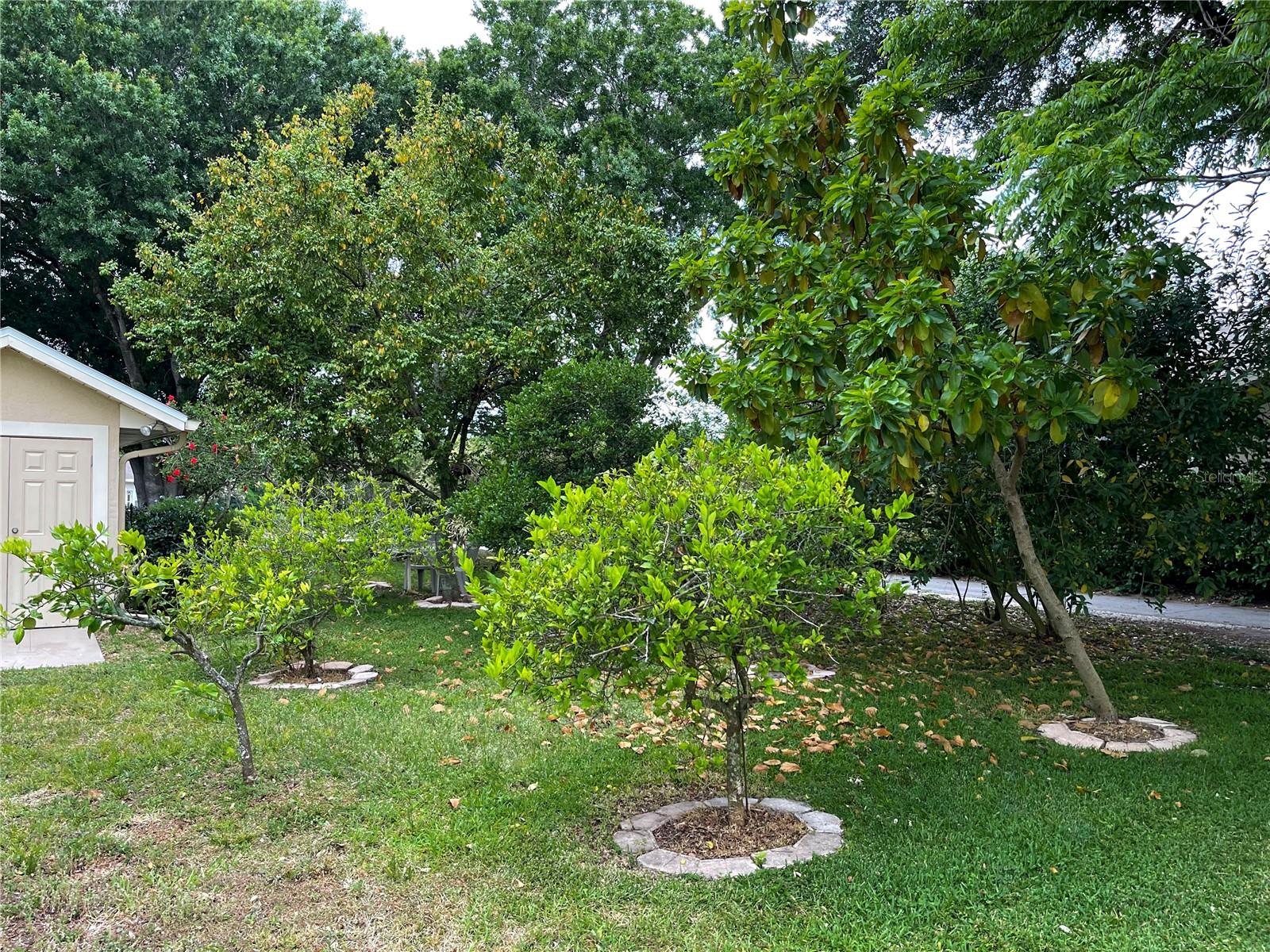 15052 Green Valley Blvd Property Photo 35