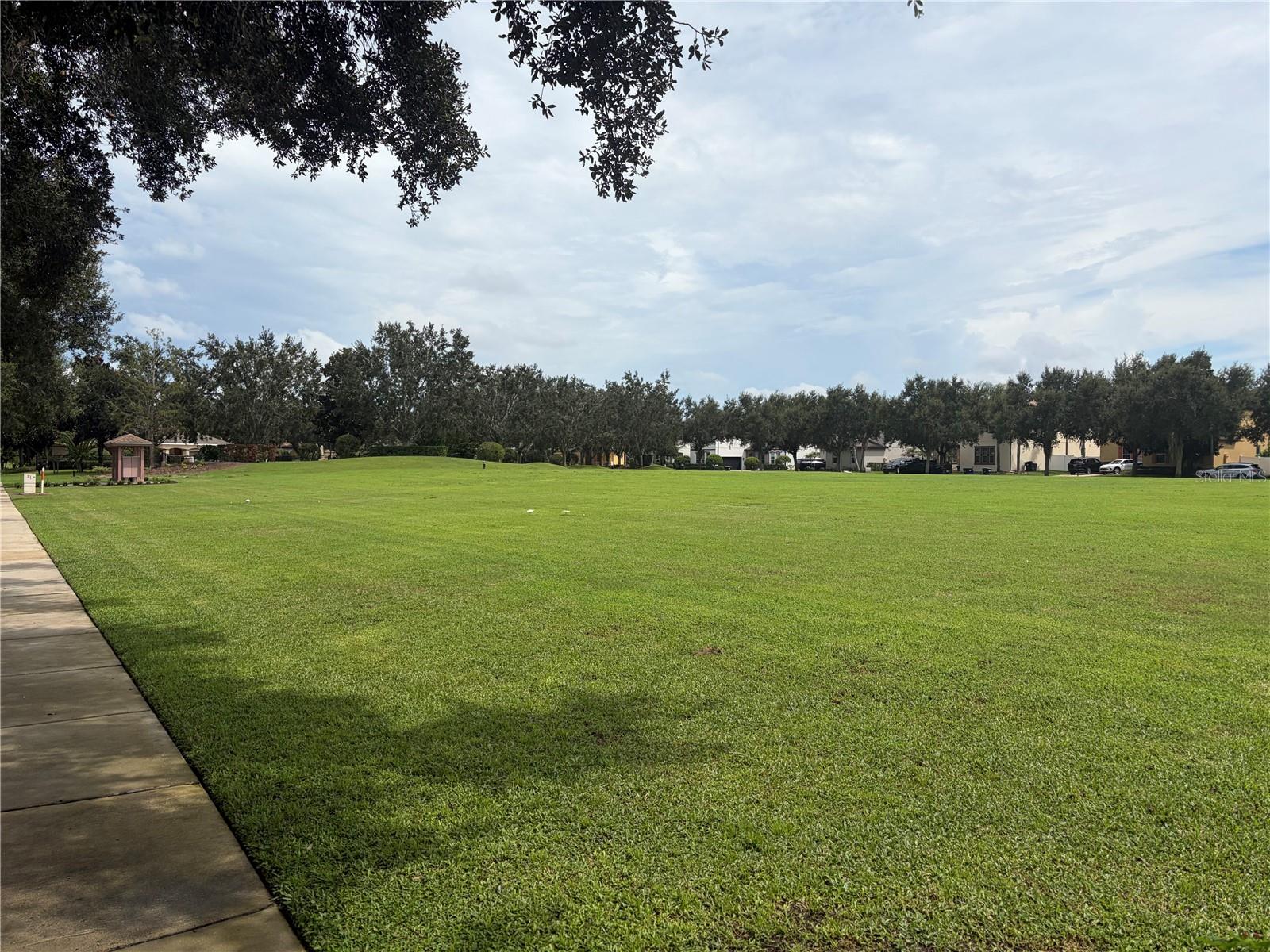 6436 Golden Dewdrop Trl Property Photo 5