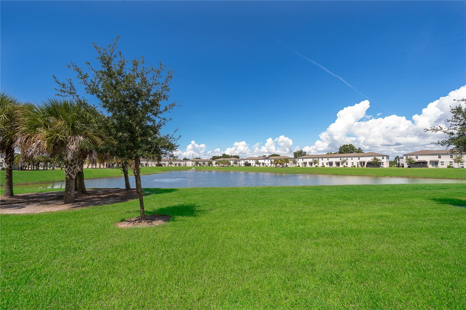 2502 Sweet Viburnum Way Property Photo 4