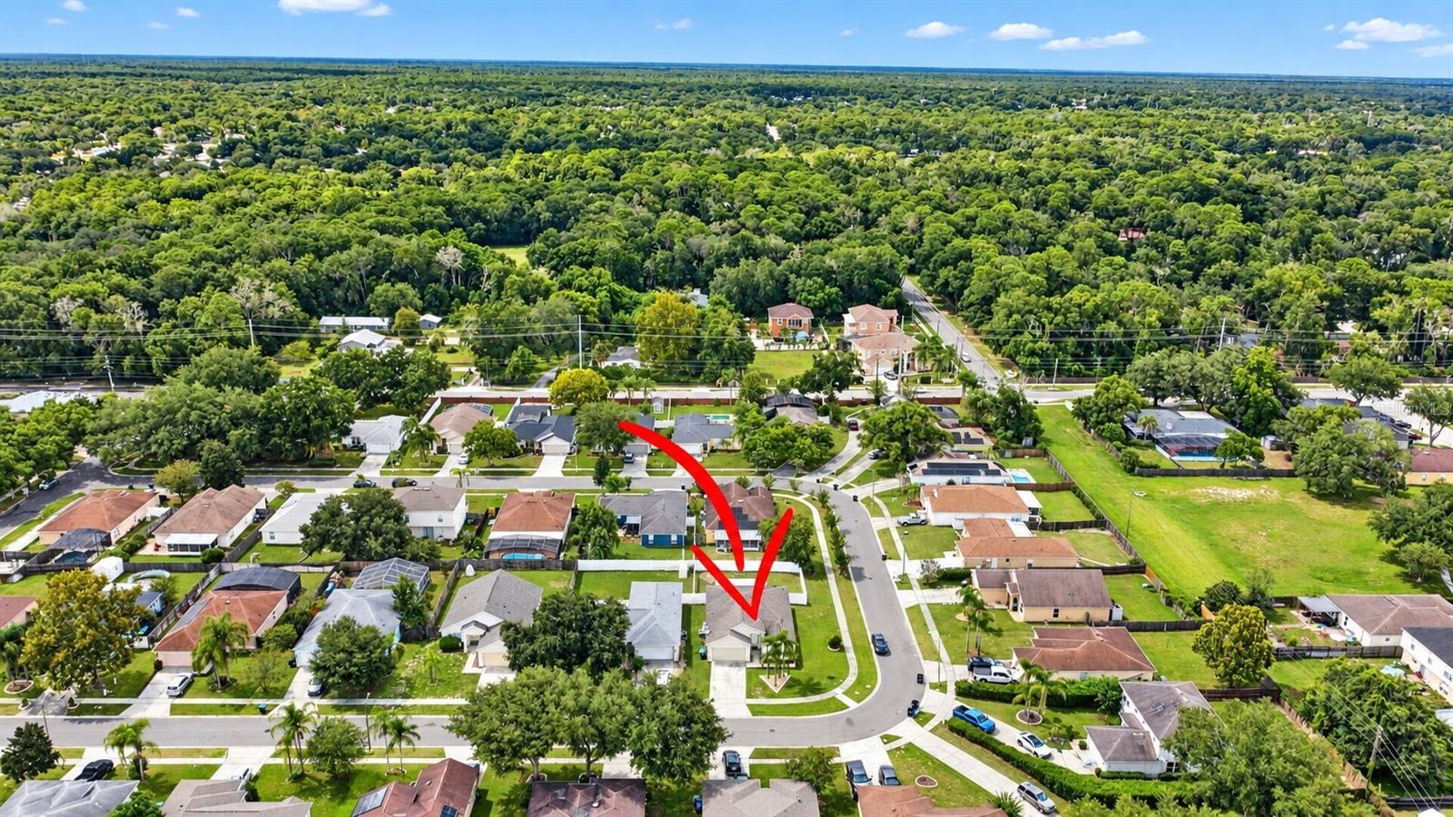 1645 Stefan Cole Ln Property Photo 21