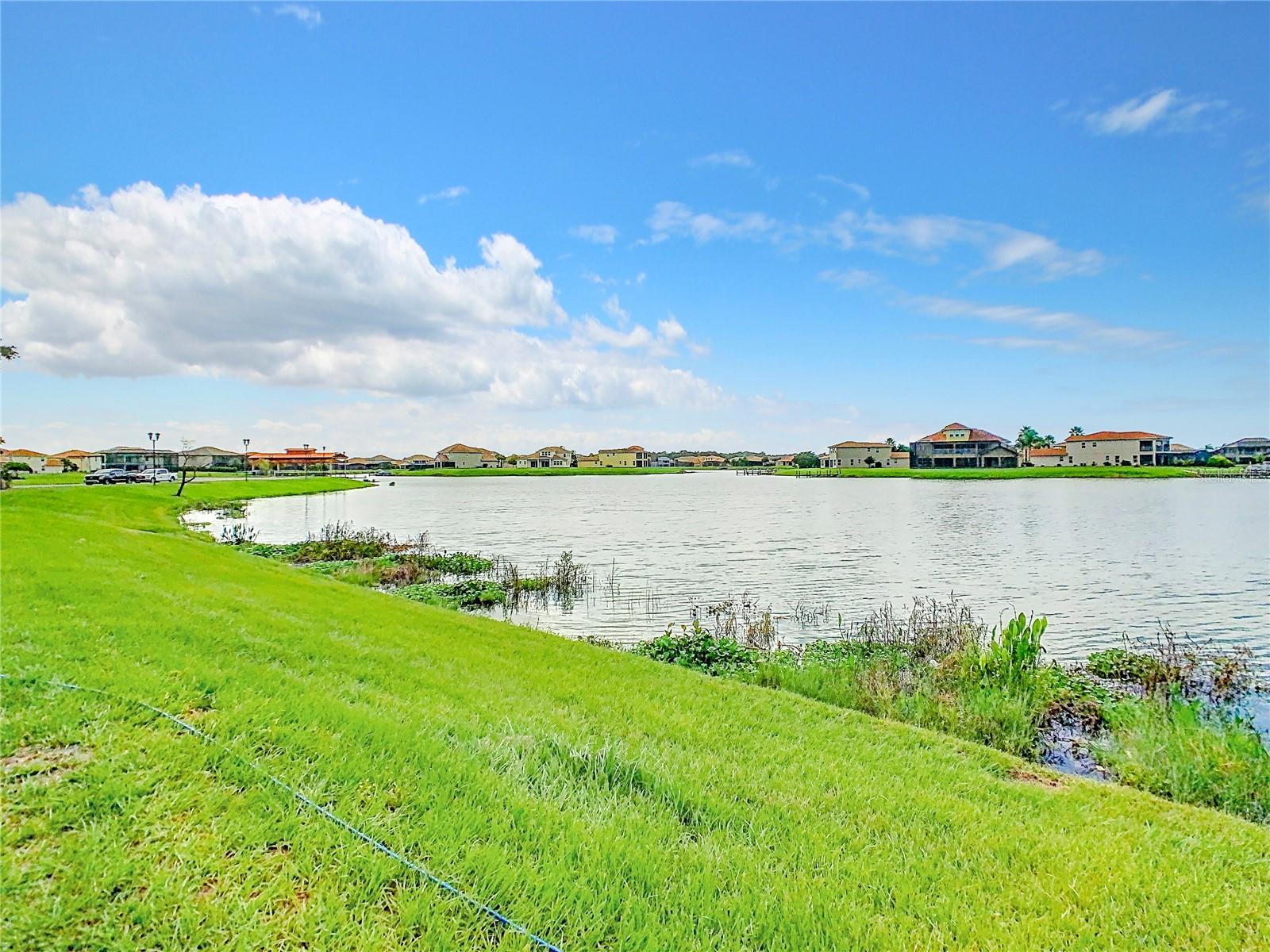 1256 Lago Vista Ct Property Photo 52
