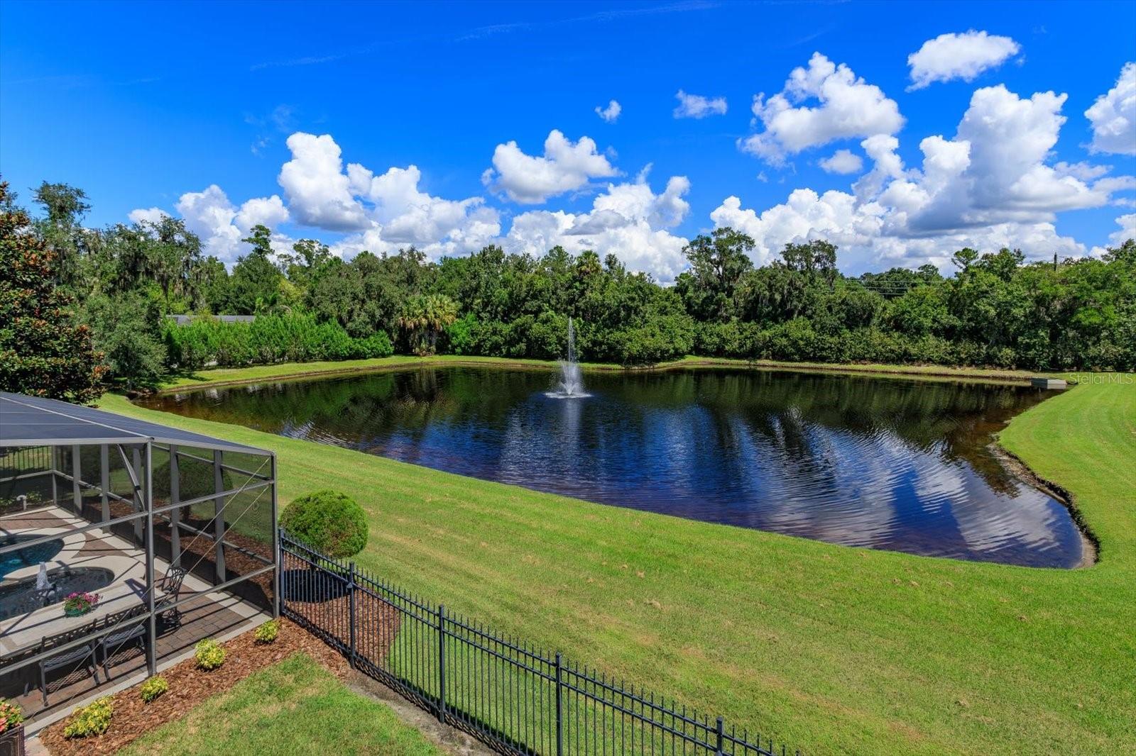 1220 Prestige Pt Property Photo 3