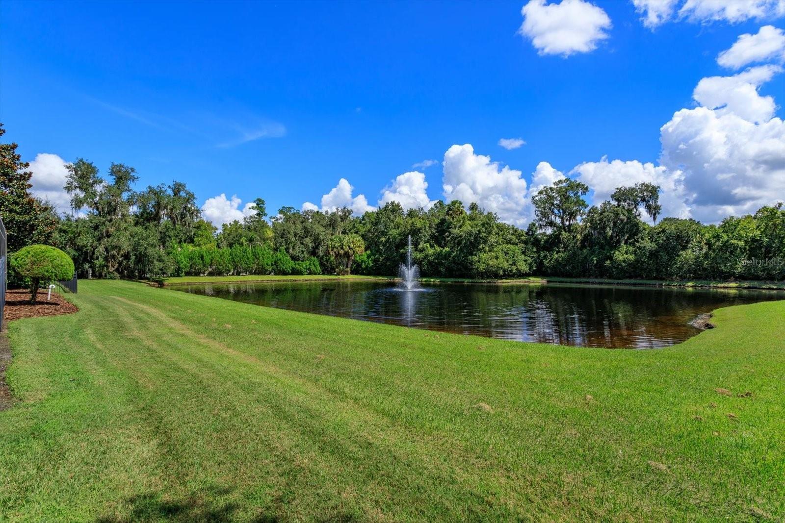 1220 Prestige Pt Property Photo 44
