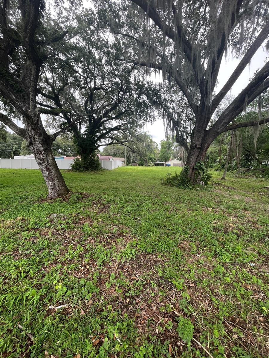 0 Pine St Property Photo 2