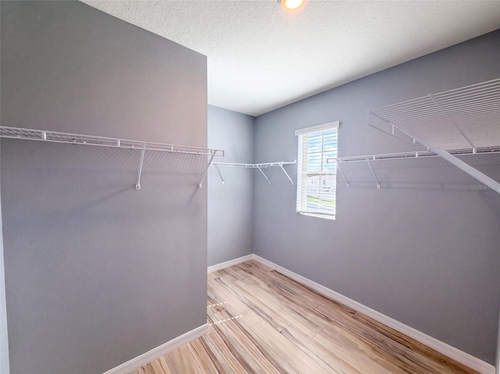 3074 Timber Hawk Cir Property Photo 12